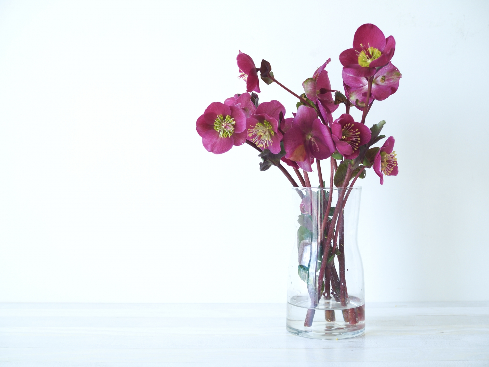 自宅でお花を楽しむ５つの方法