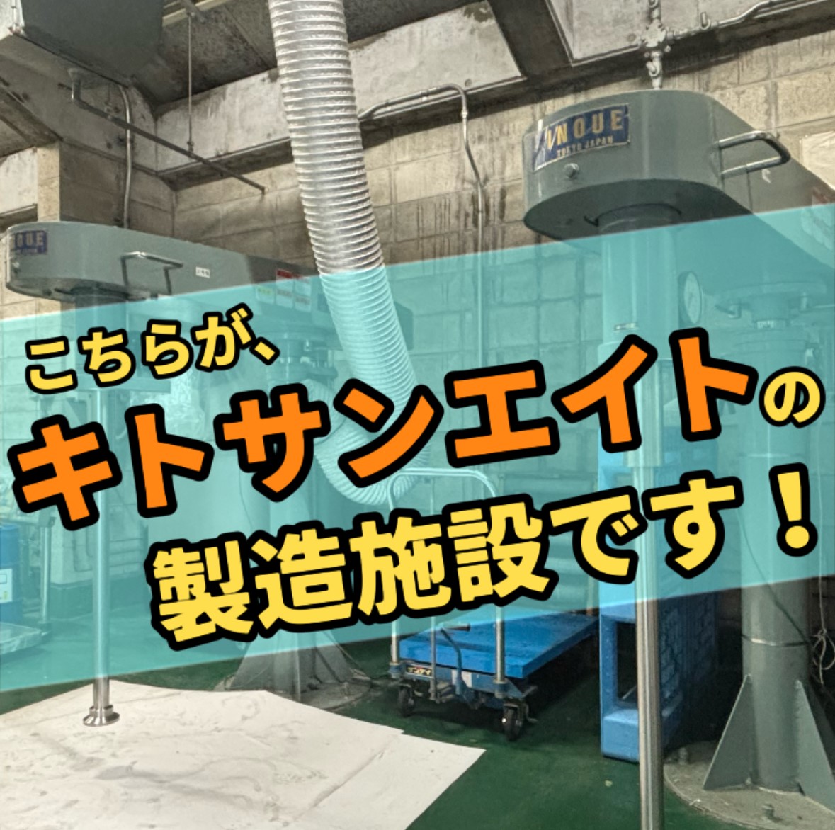 キトサンエイトはここで作られています！