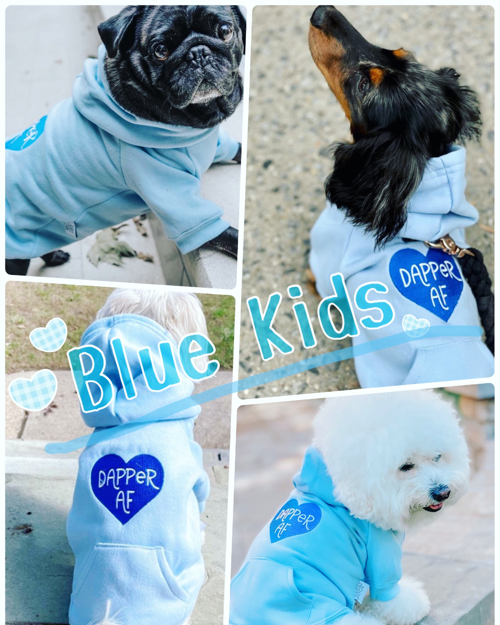 大人気パステルカラーパーカー🐕
