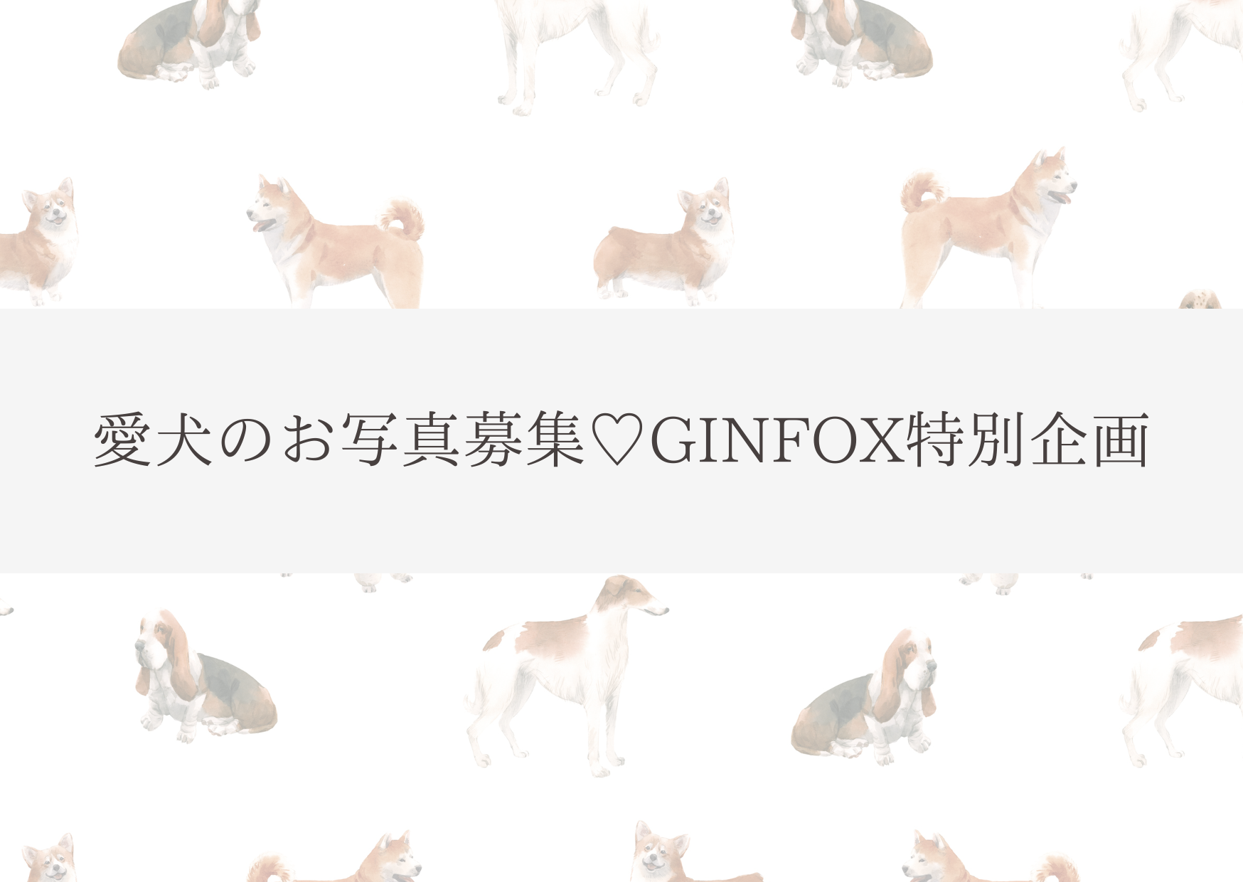 モデル写真ありがとう特別クーポン20%OFF配布