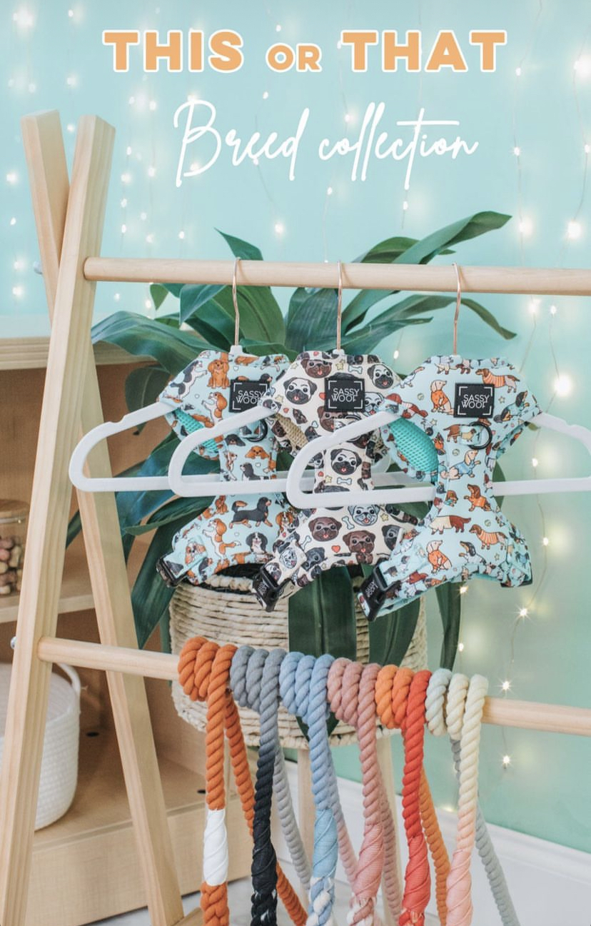 待望のNEWシリーズ入荷★☆