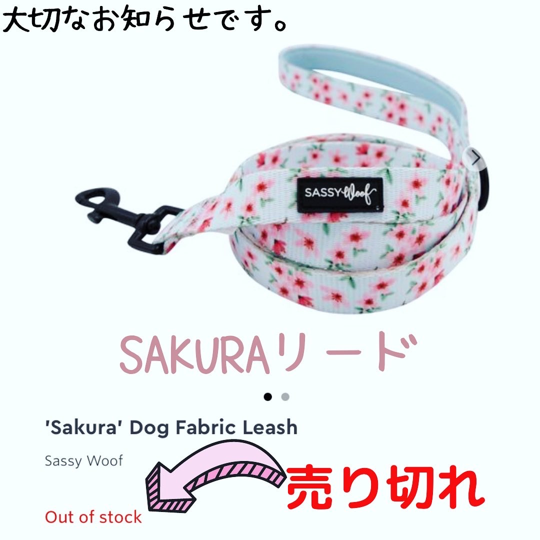 桜リード在庫僅かです😂