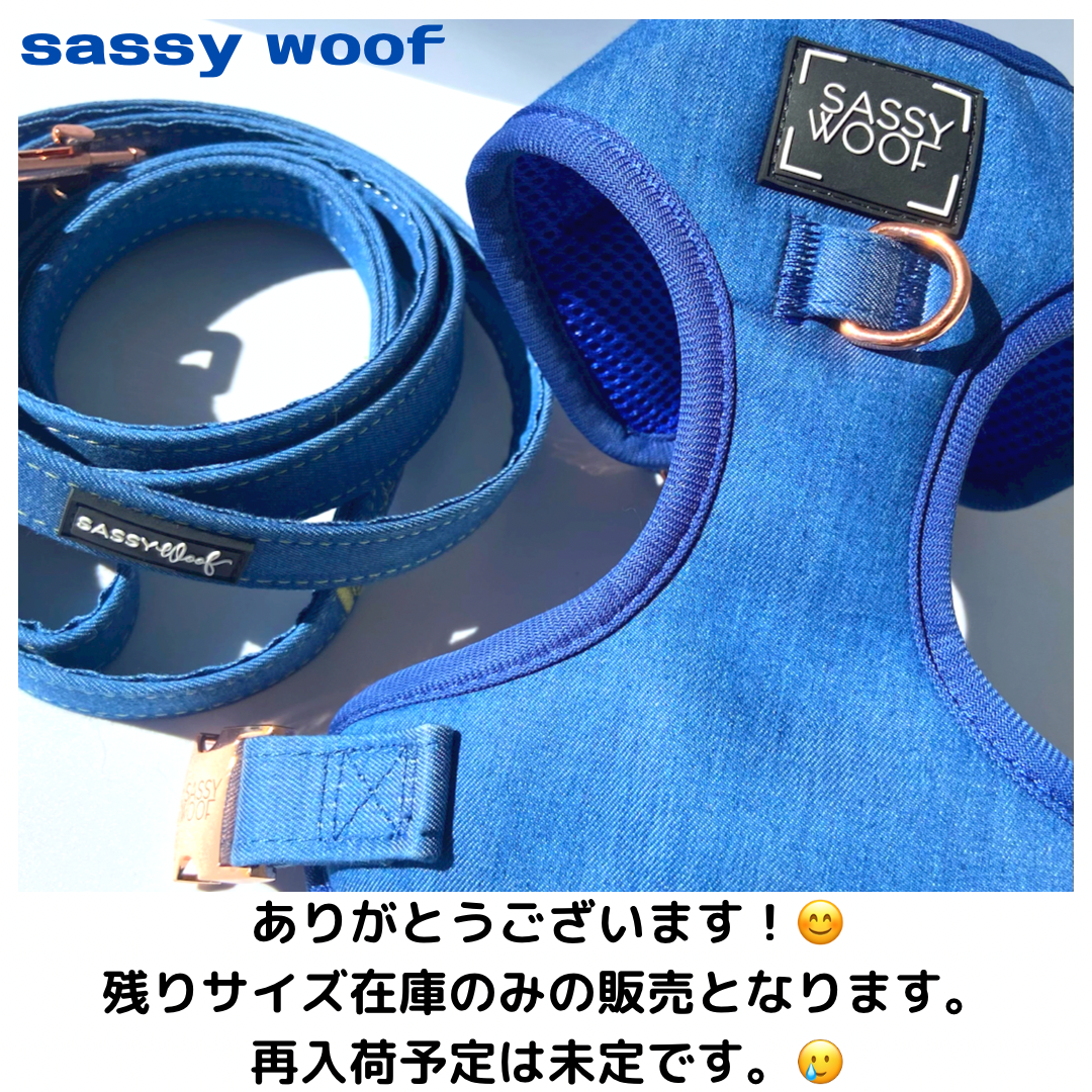 デニムシリーズ、再入荷なし⁉️