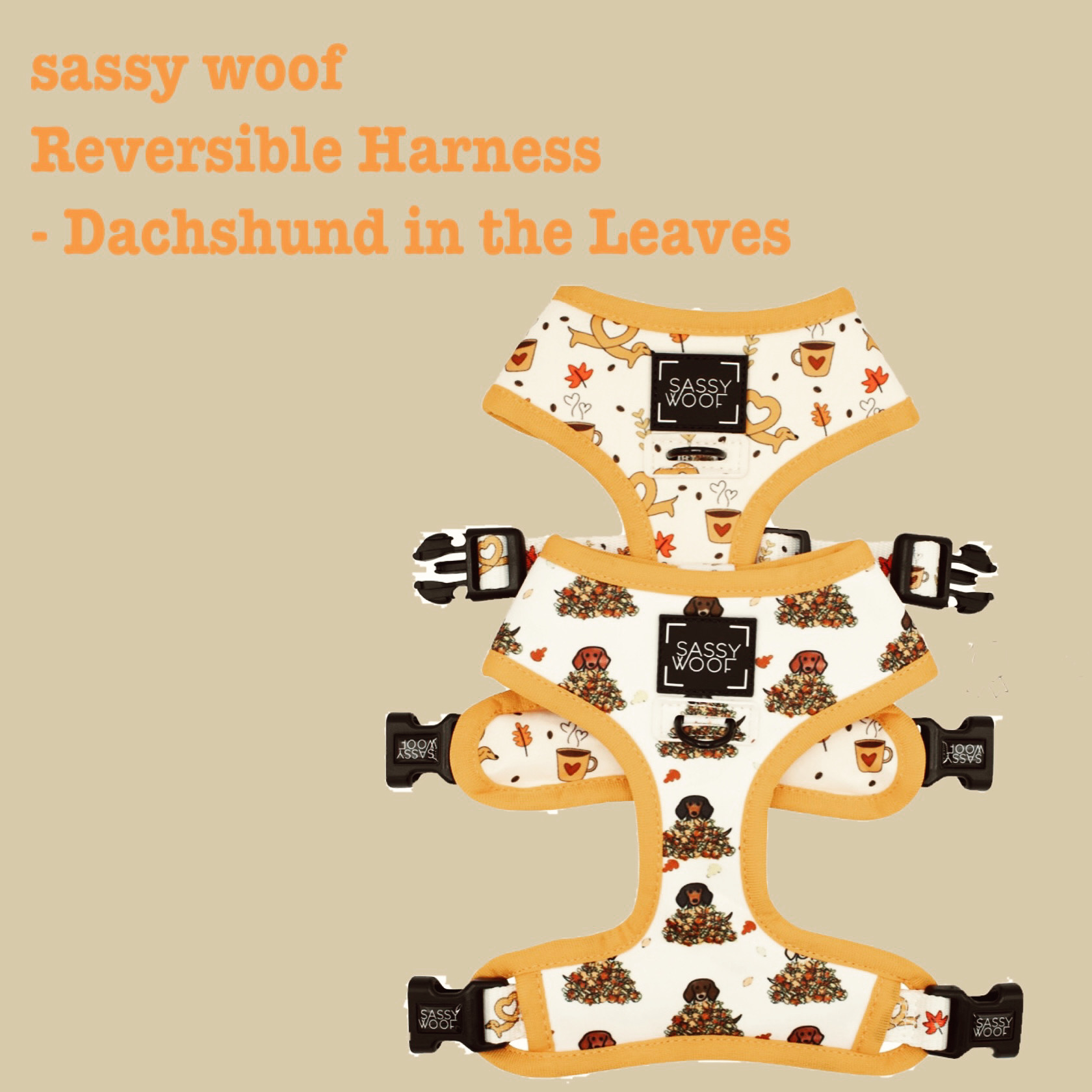 大人気ダックスフント新作シリーズ🐕