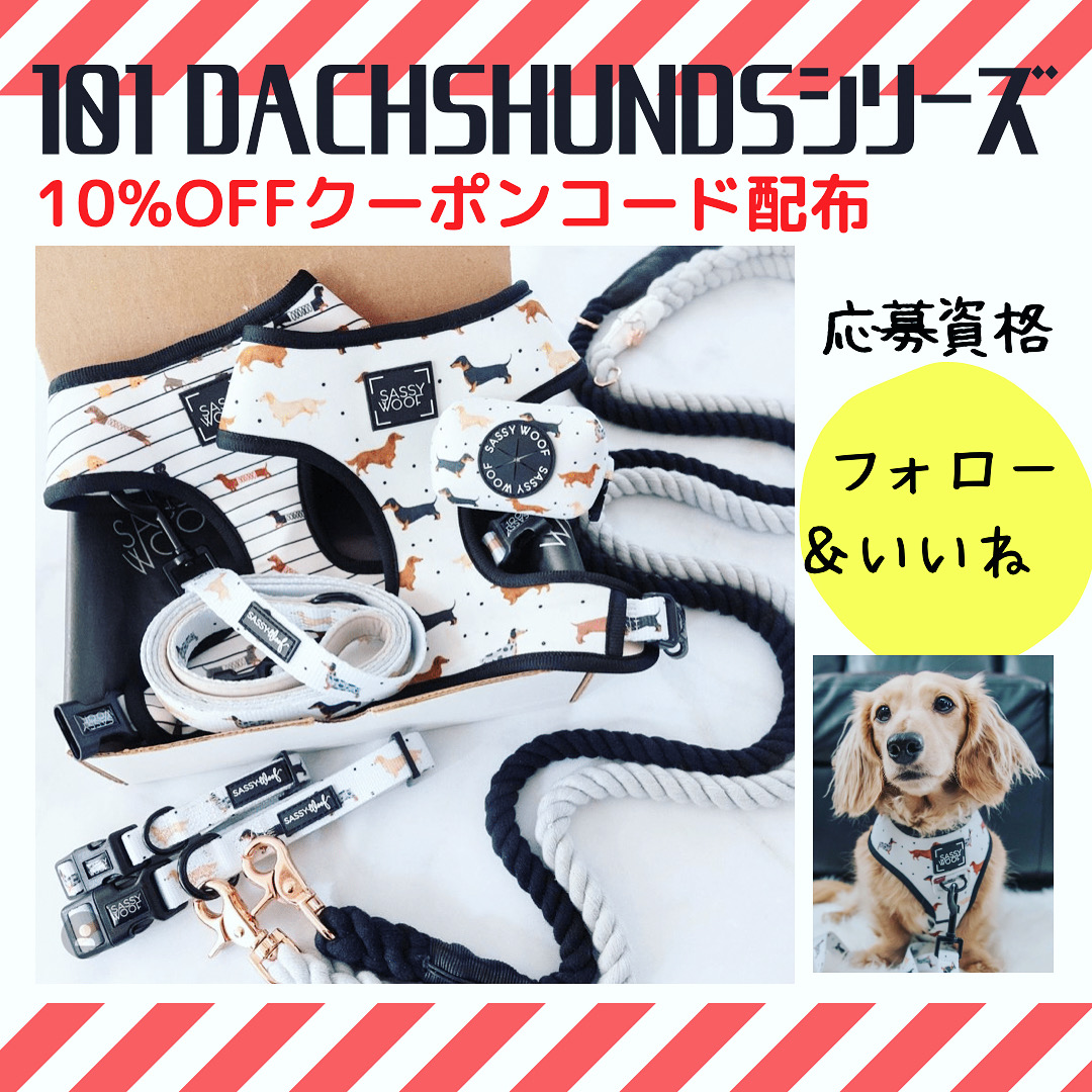 101ダックスの輪を広げよう♪キャンペーン