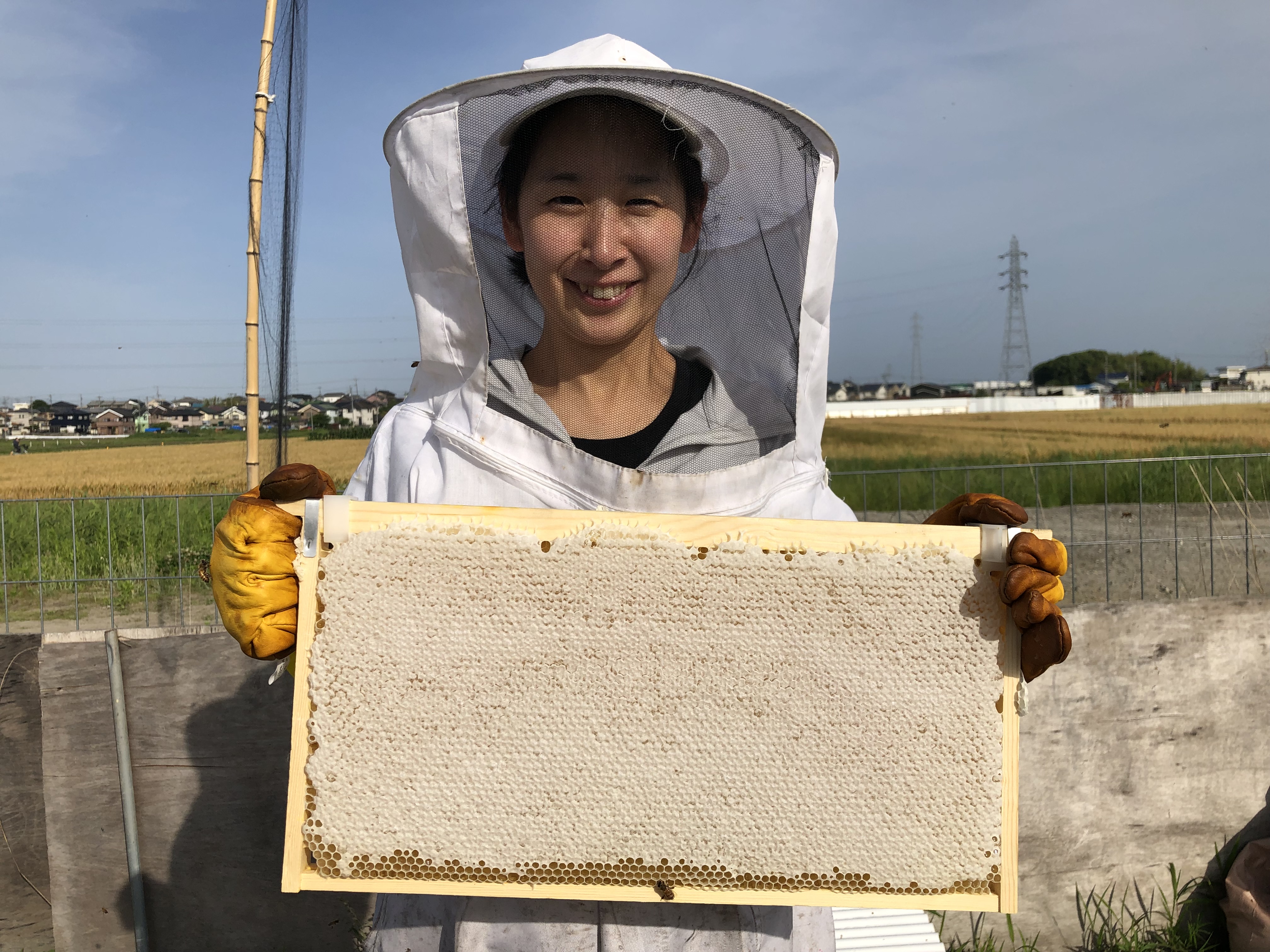 BLOGを開設いたしました★葵クローバー蜂蜜園のご紹介を随時させていただきます。