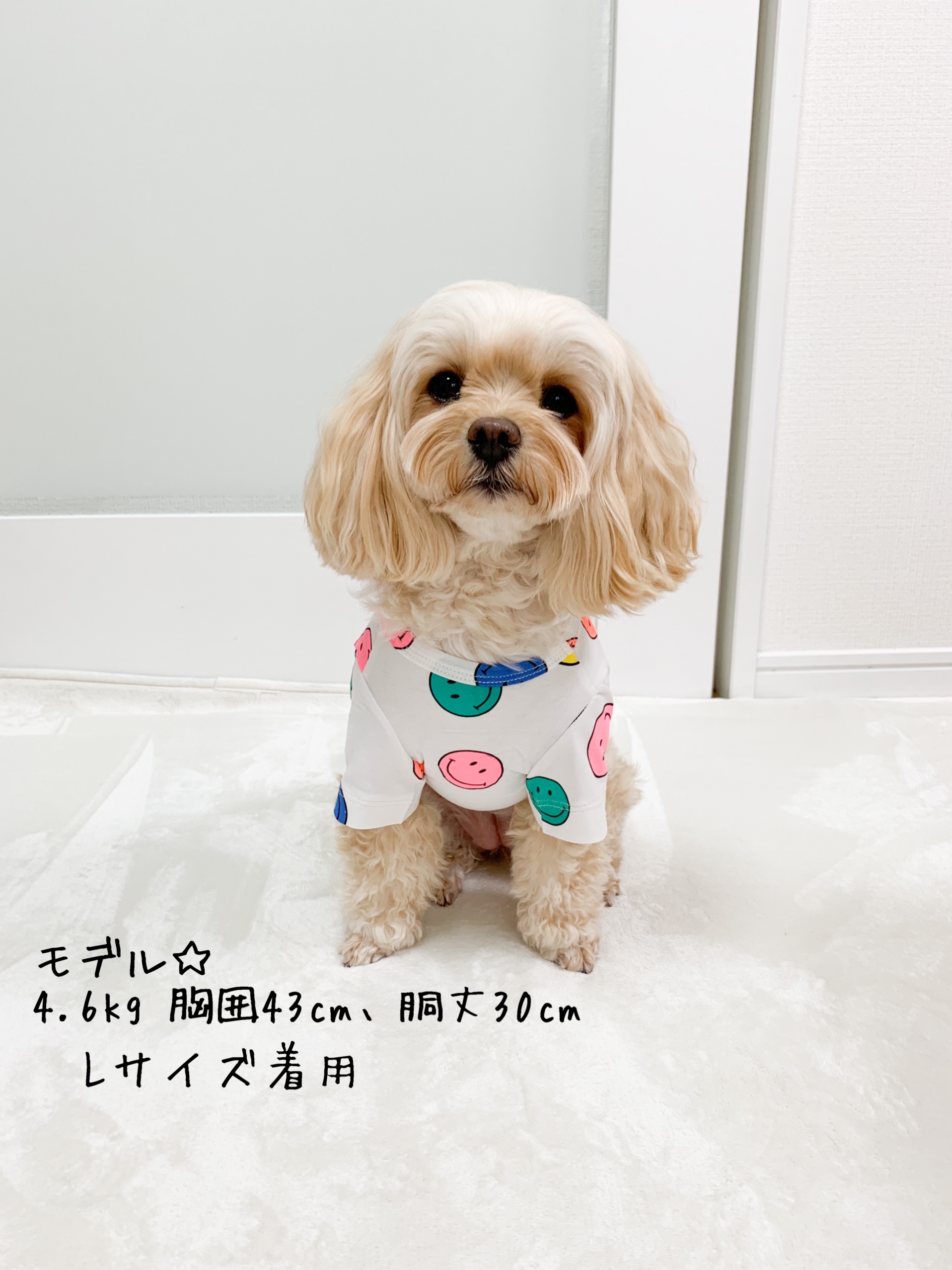 ニコちゃんTシャツ☆入荷しました