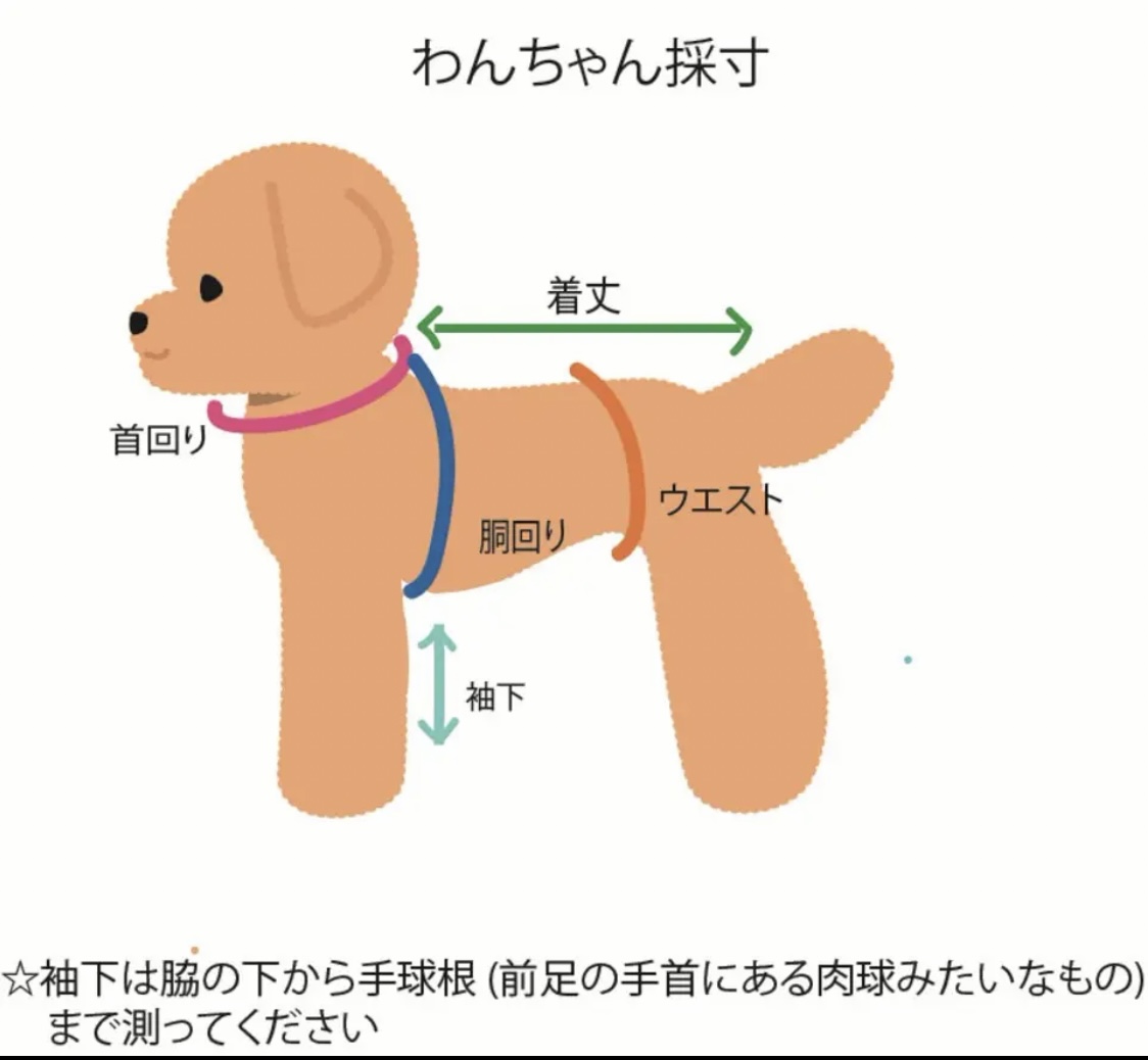 サイズの測り方