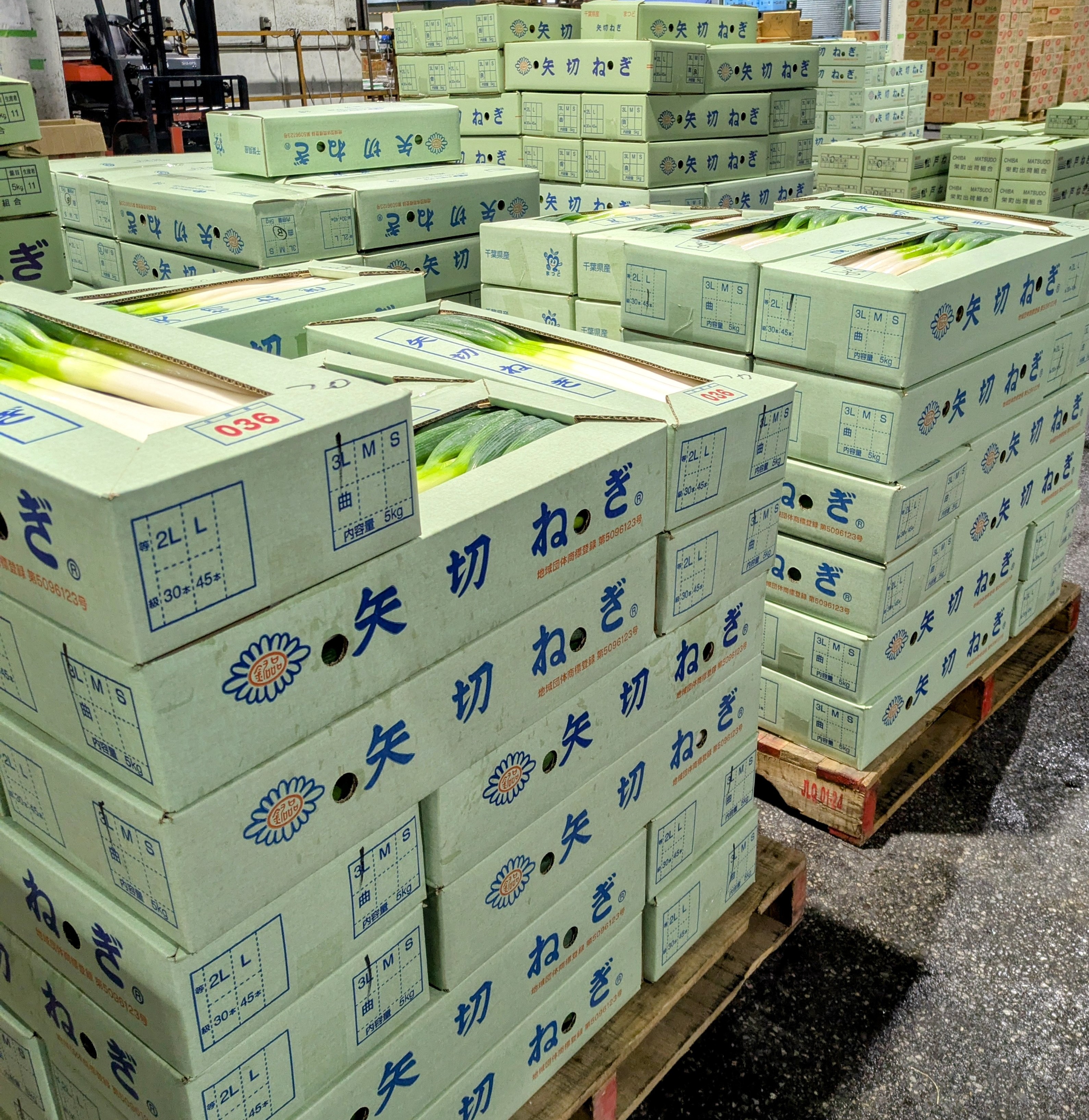 今シーズン最後の矢切ねぎ出荷！！