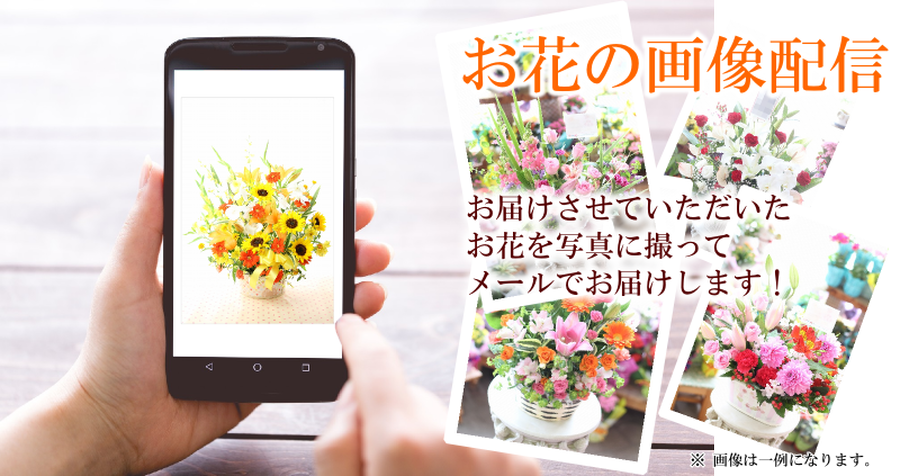 お花の画像配信サービス（無料）