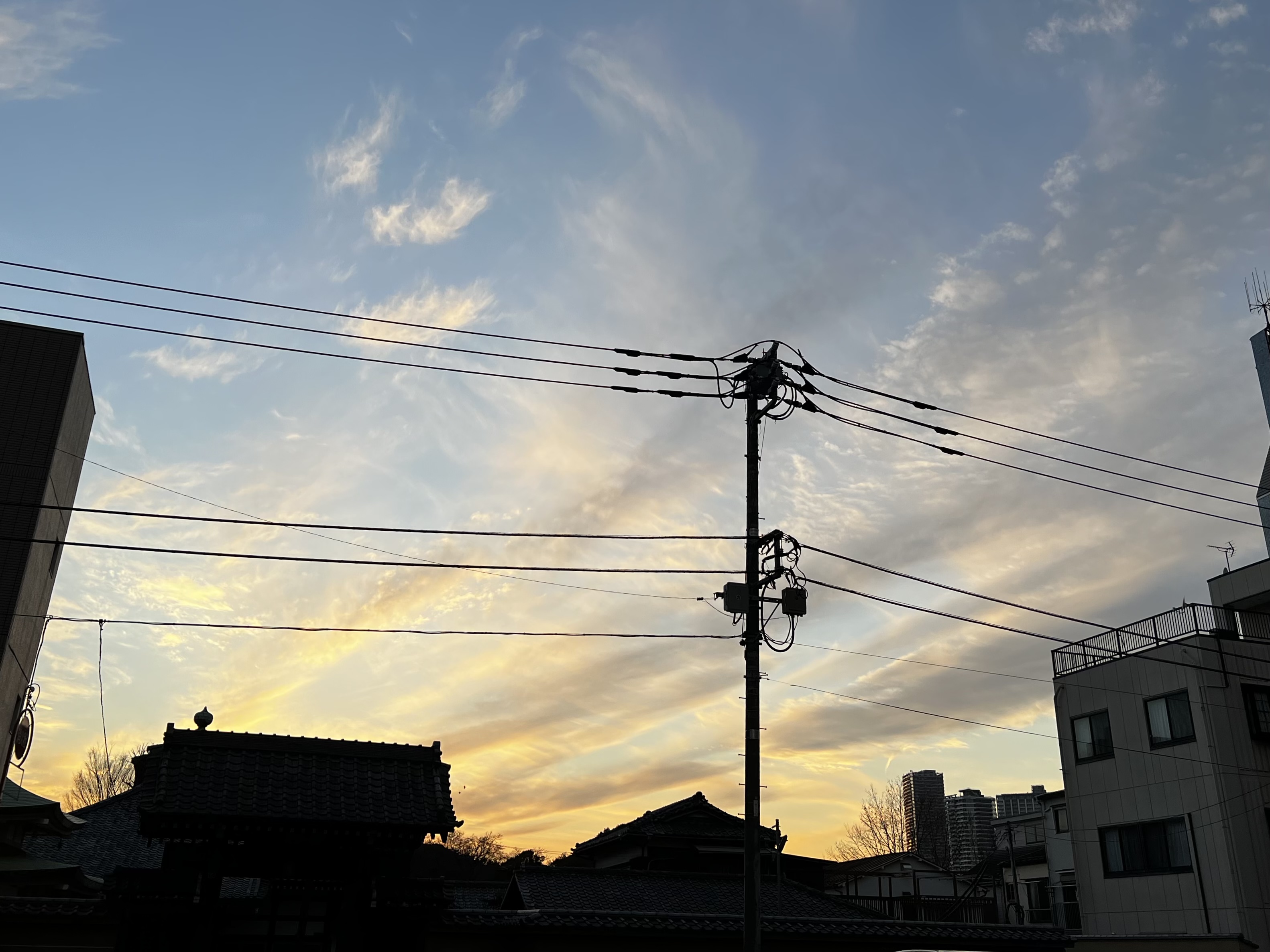 服のお話「会えなくなったら、自分が何が好きなのかがわかりました。」