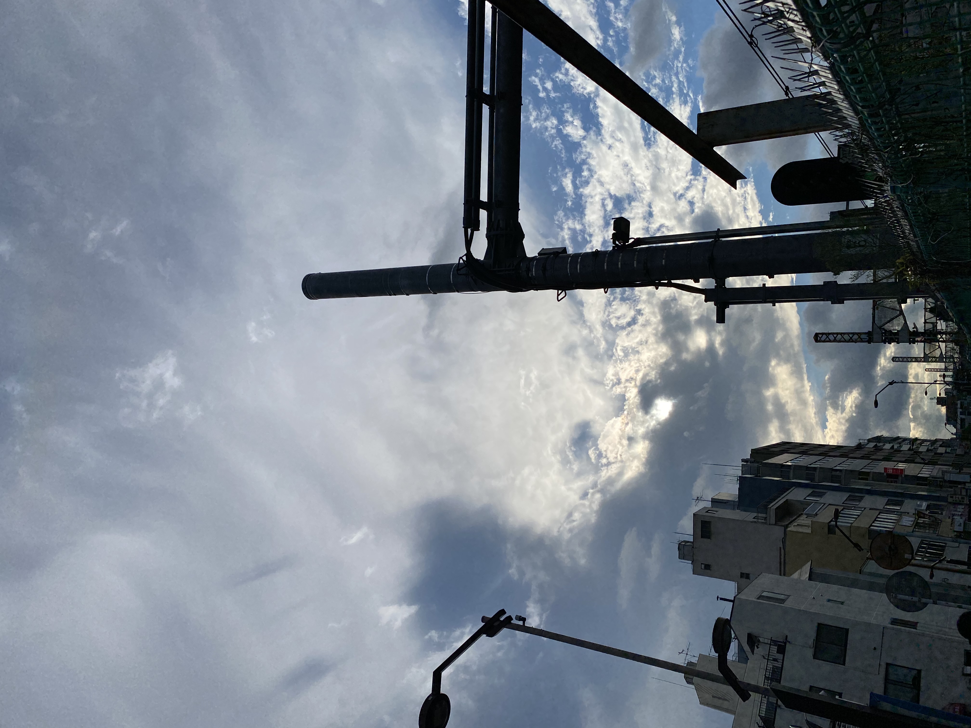 湿気と虫との終わらない闘い