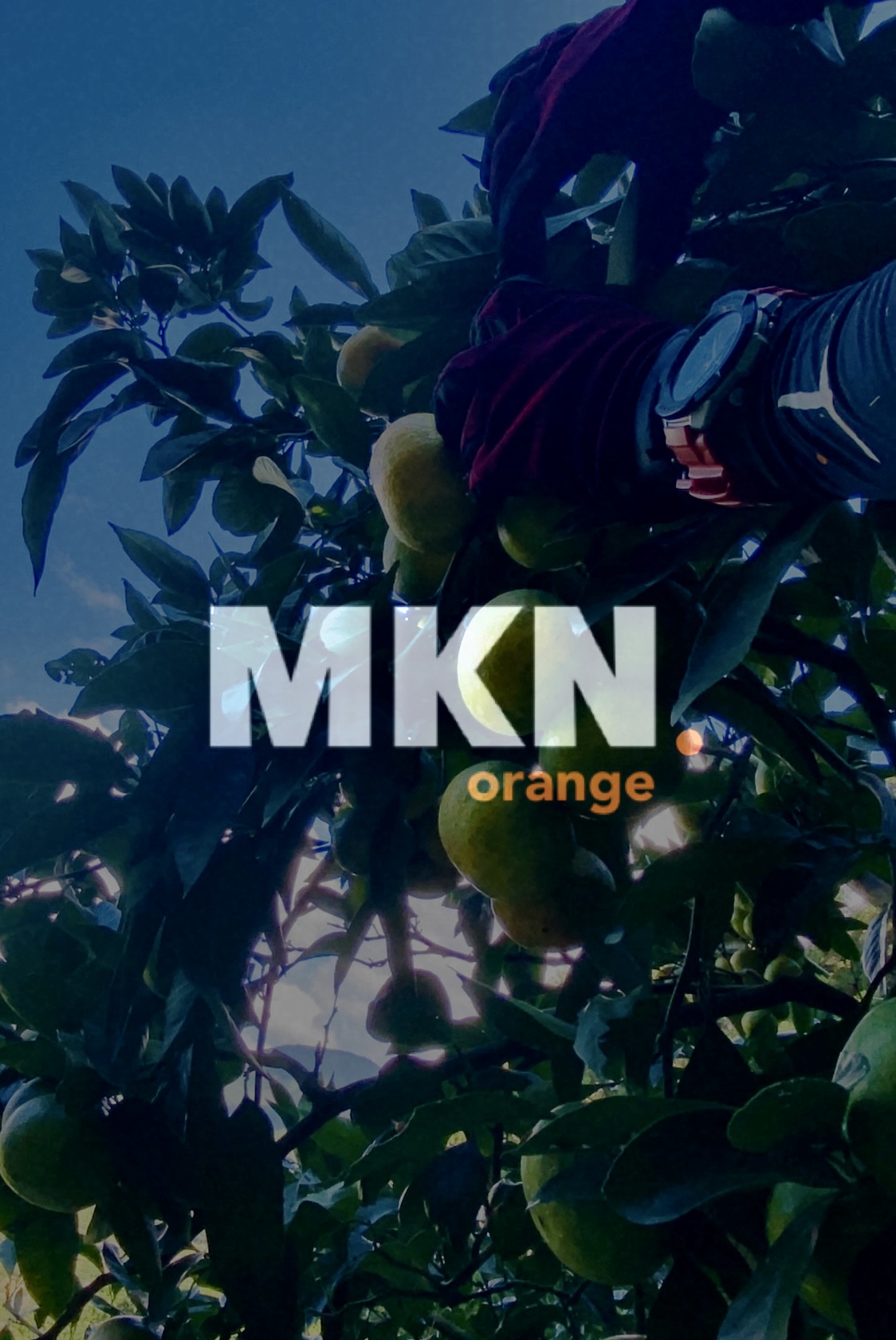 MKN.orangeについて