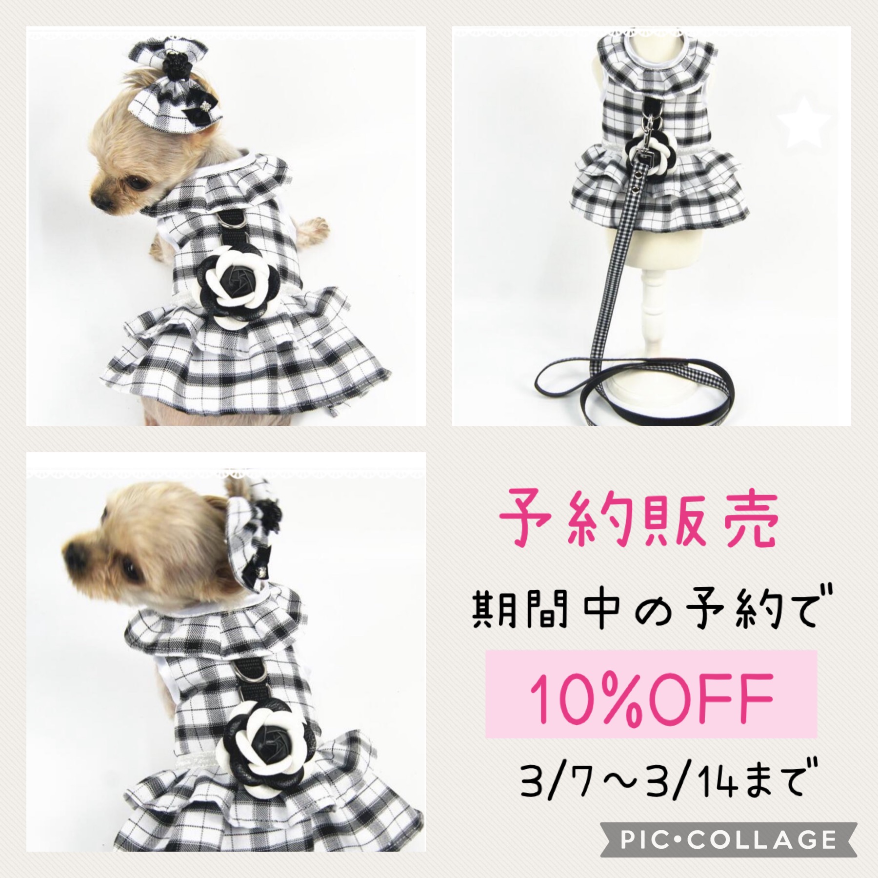 【予約販売】ハーネス付きワンピース