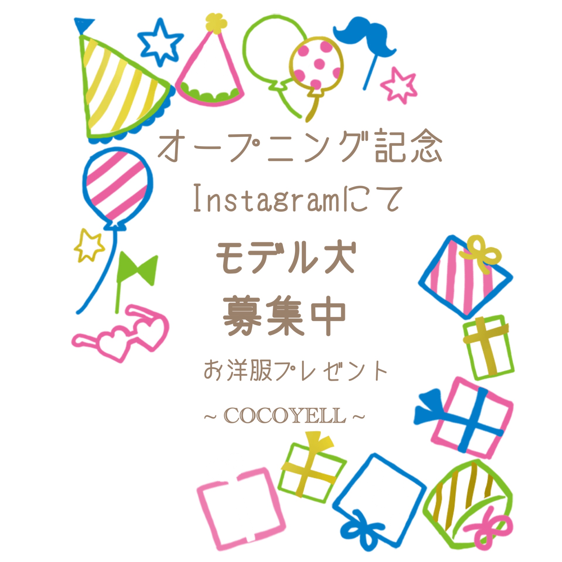 【モデル犬 募集中】