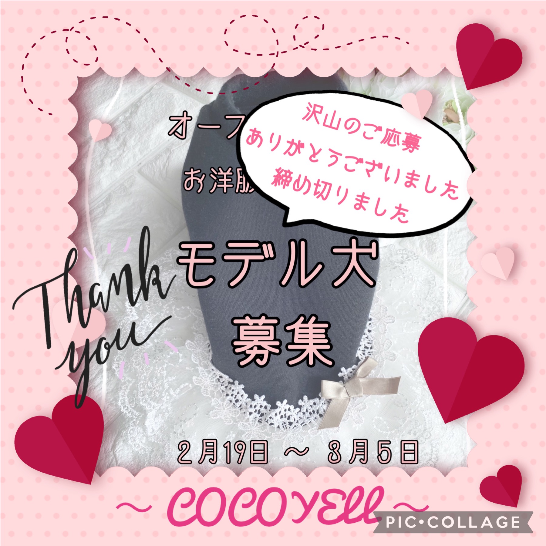 【沢山のご応募ありがとうございました】