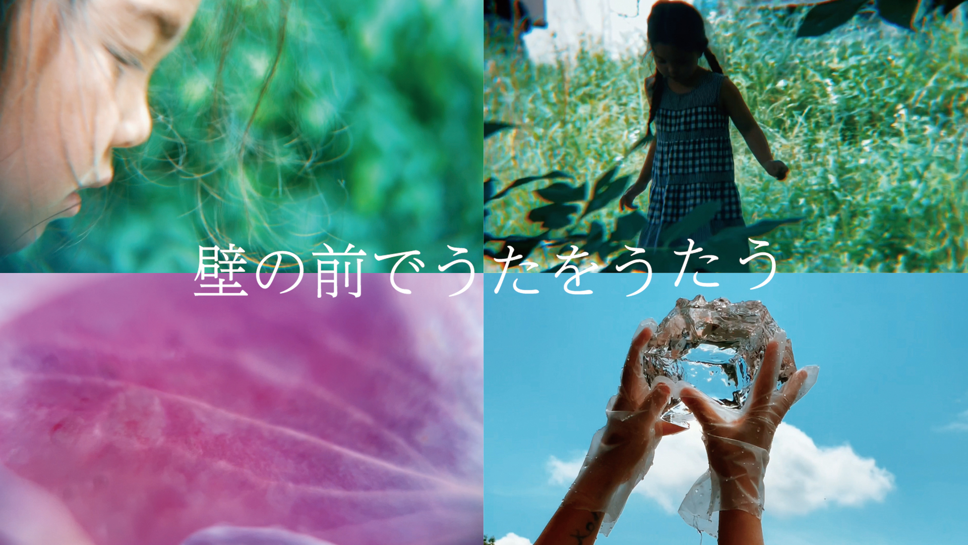 「壁の前でうたをうたう」Movie期間限定公開