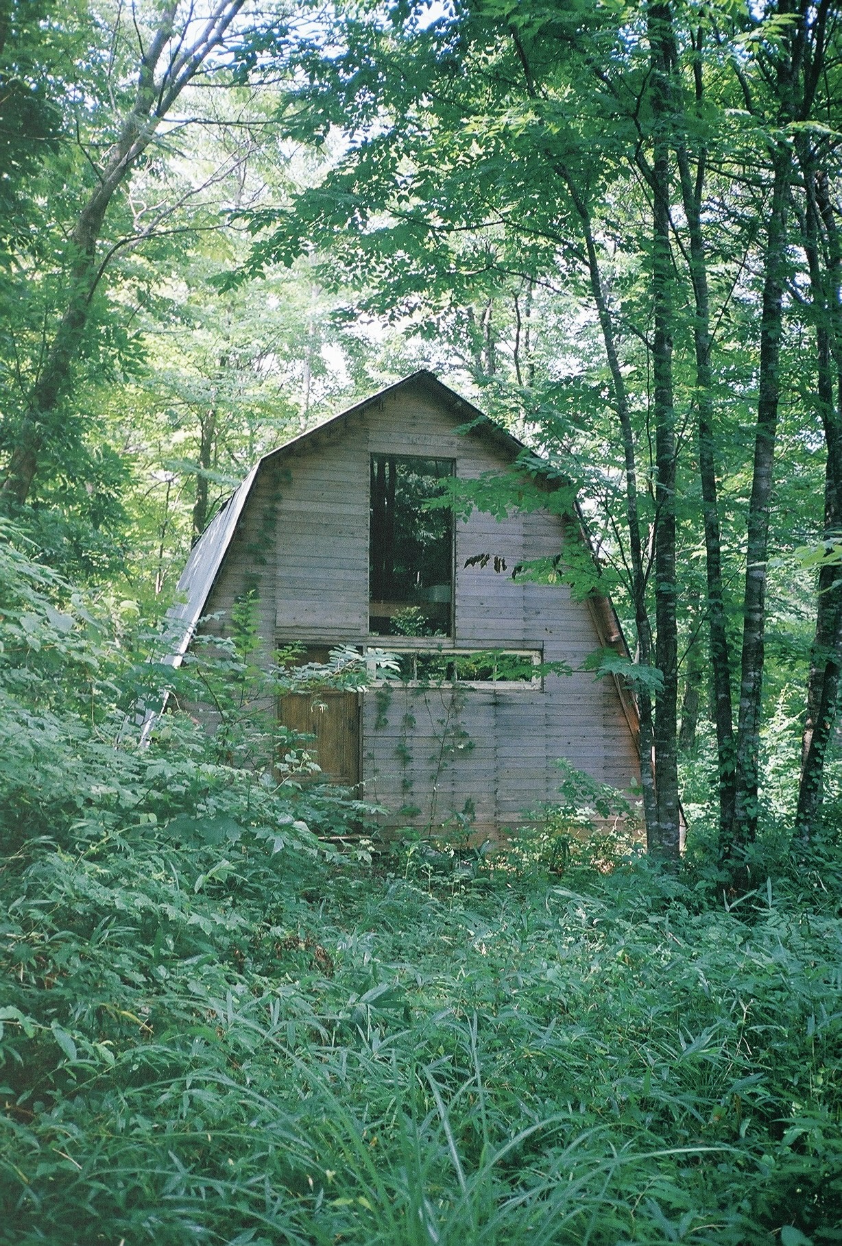 2025、鳥取•大山フェア