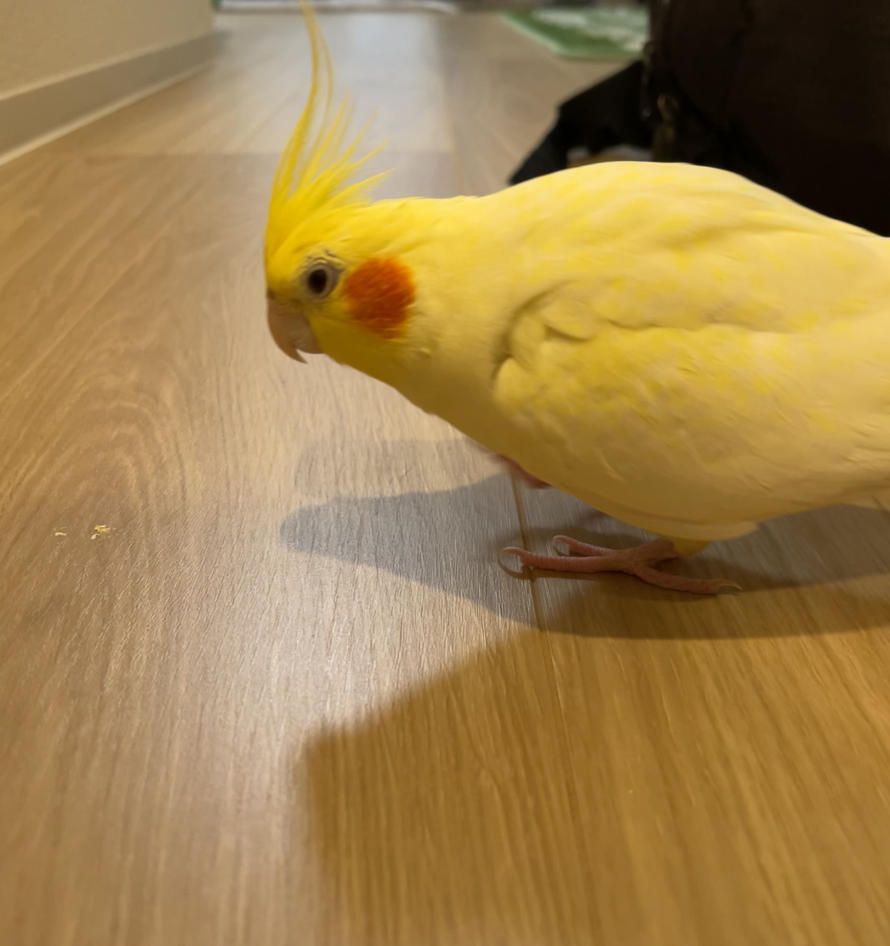 歩きましょう