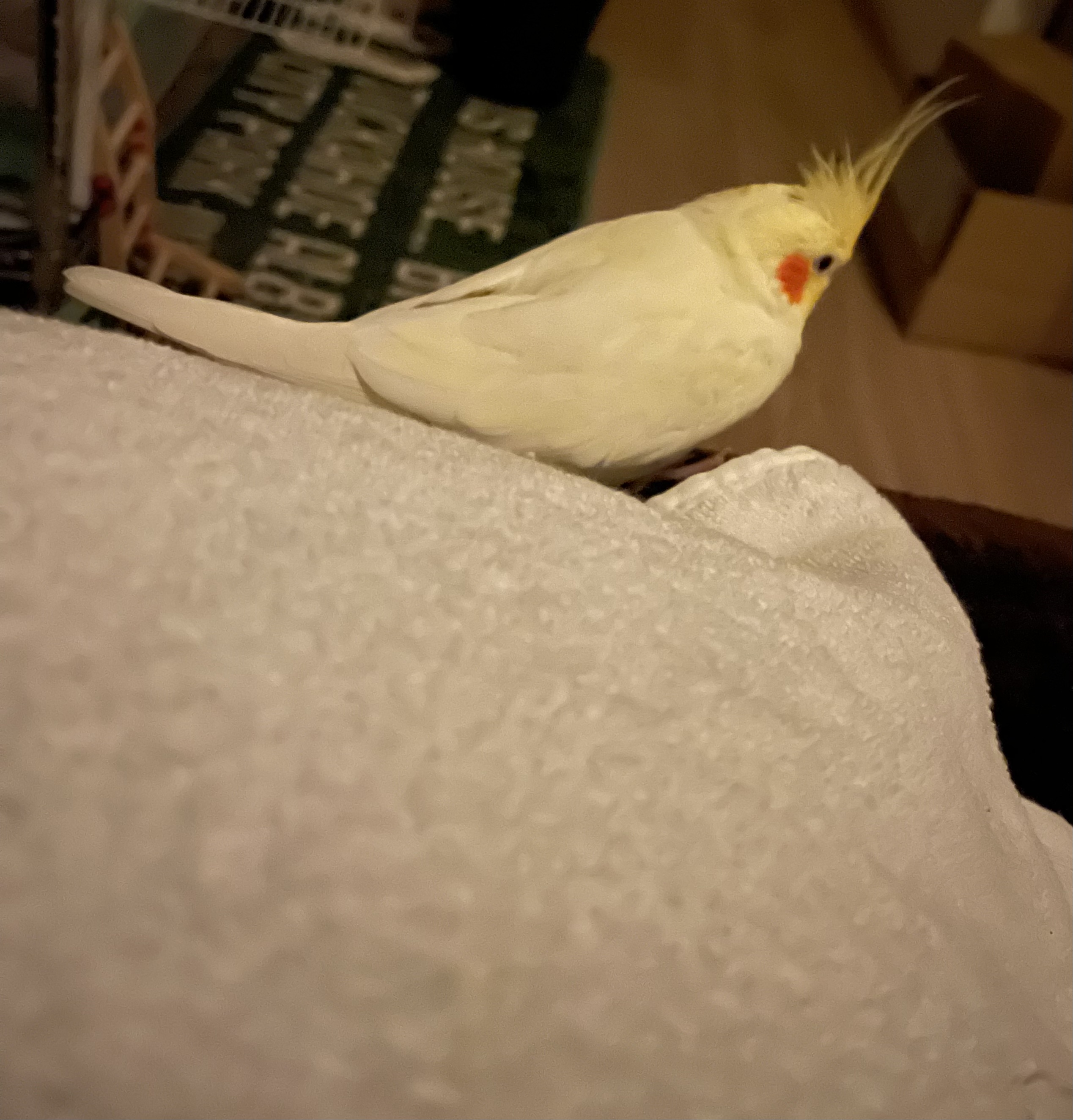 すりーぷうぇる