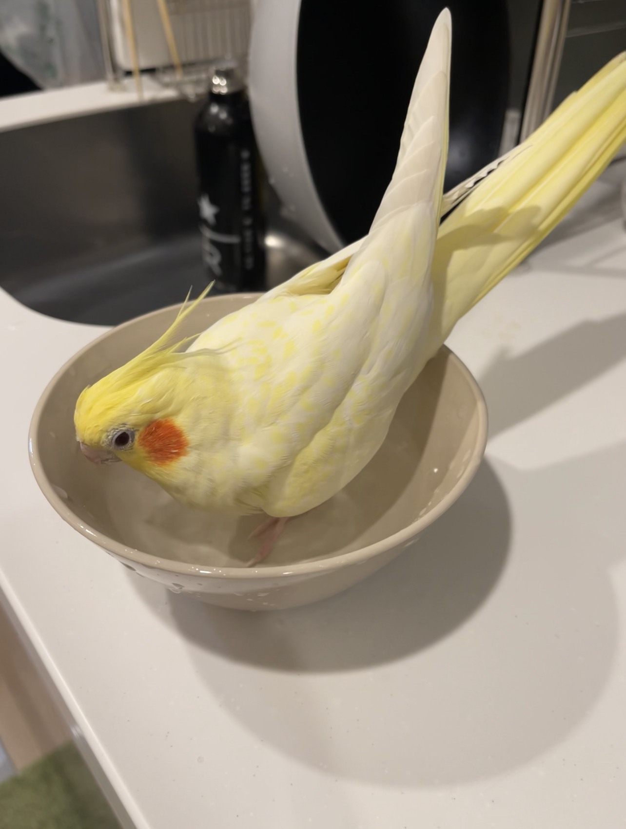 シャワータイム
