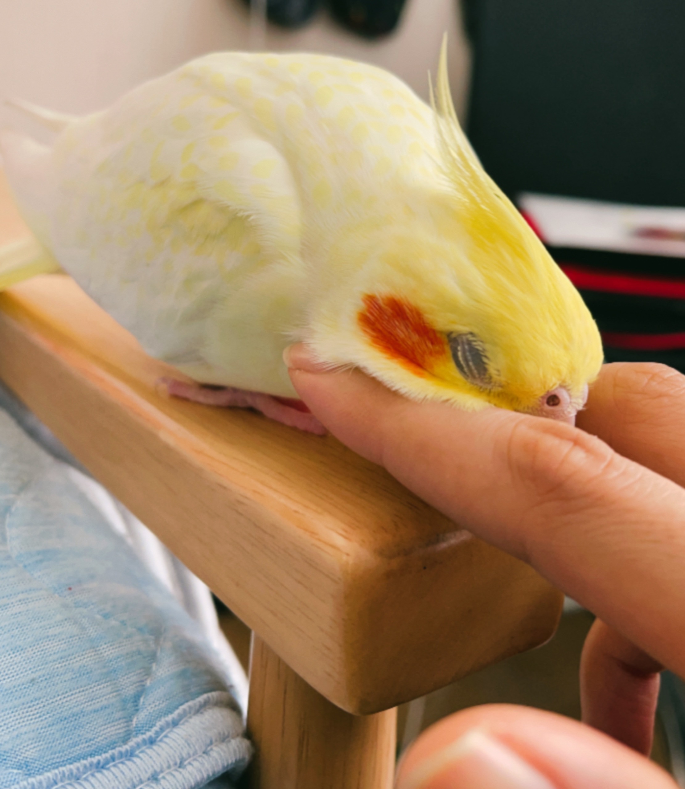やめられない