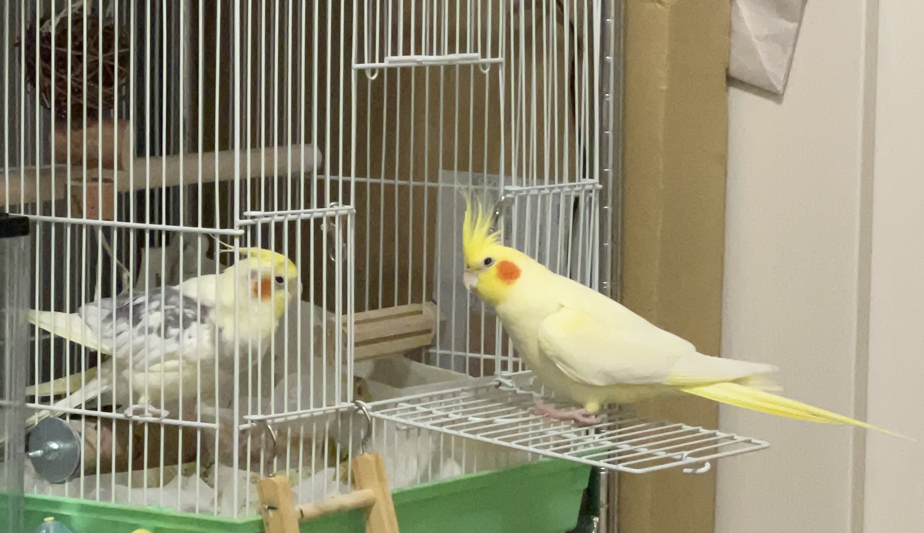 ディスタンス