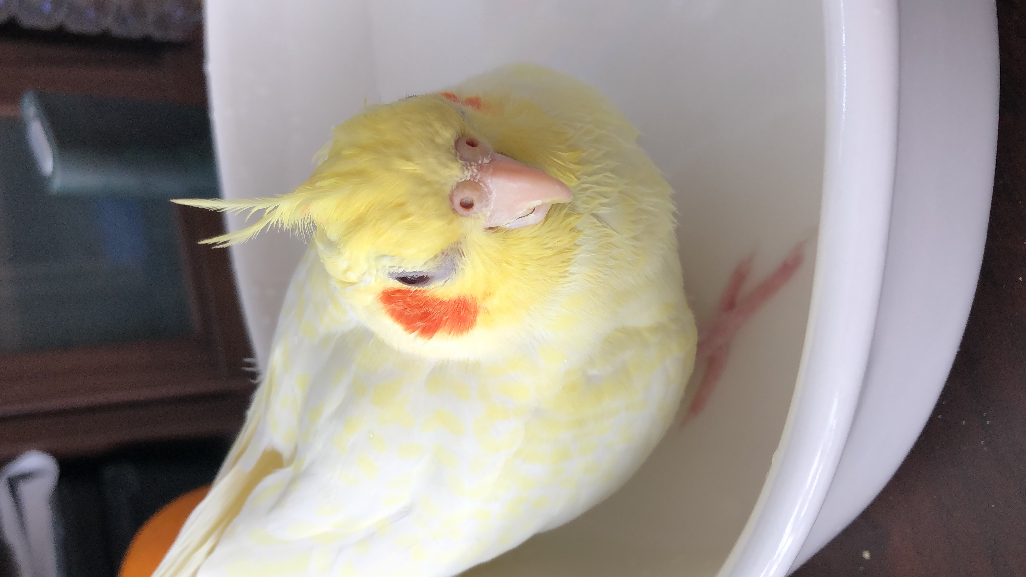 ひとっぷろ
