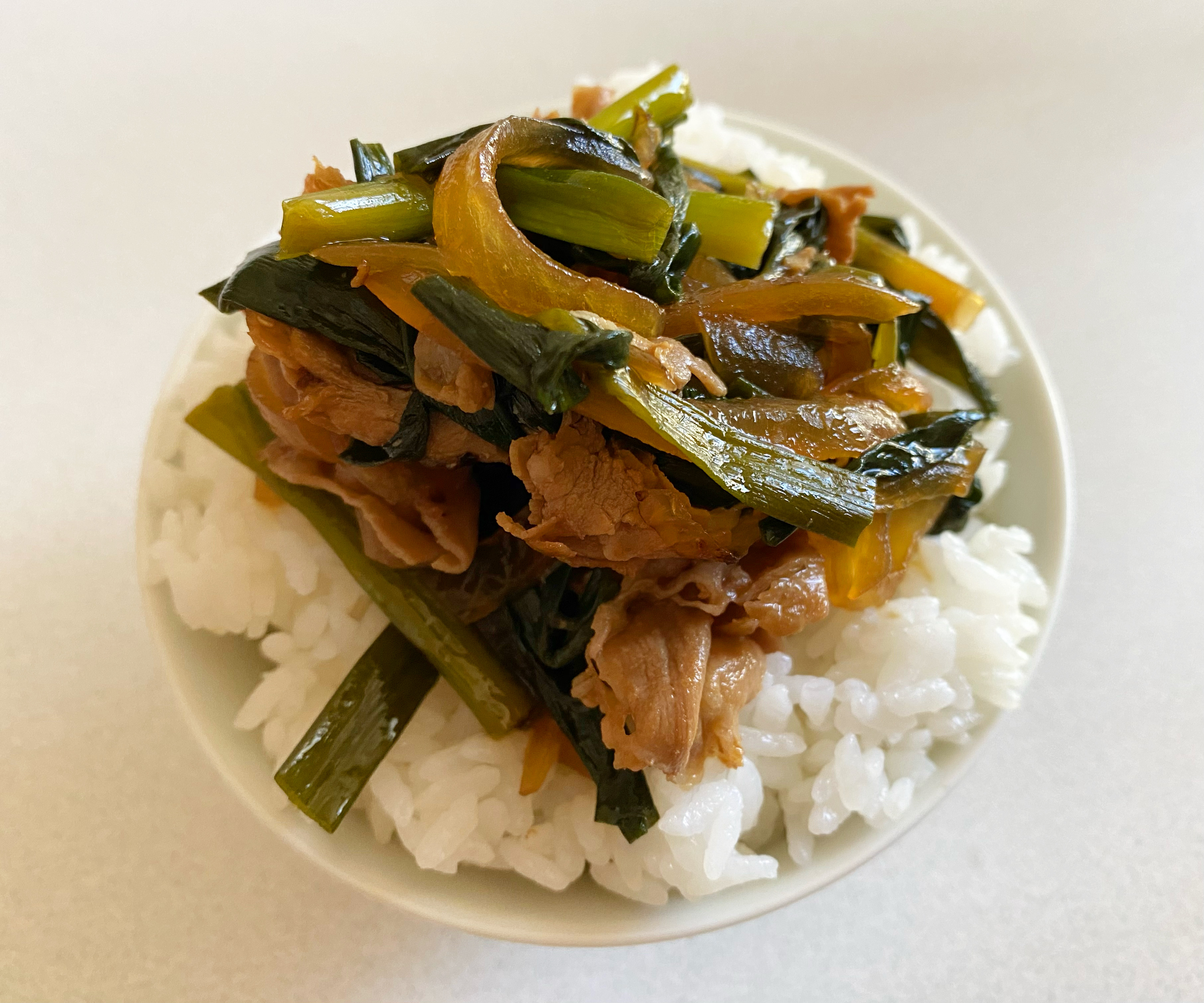 小ネギたっぷりの豚肉丼🍚