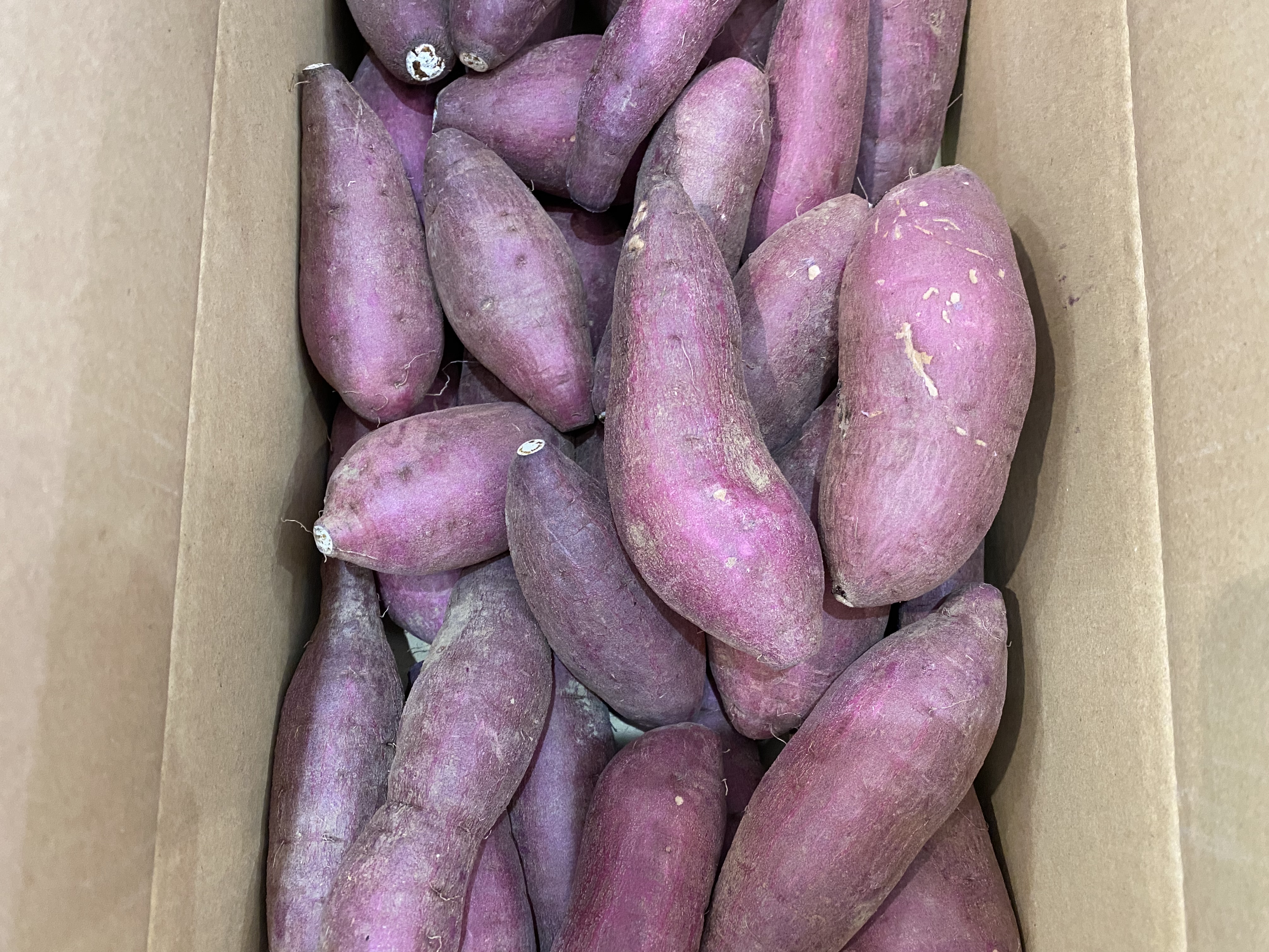 今が旬❗️大津産紅はるか🍠