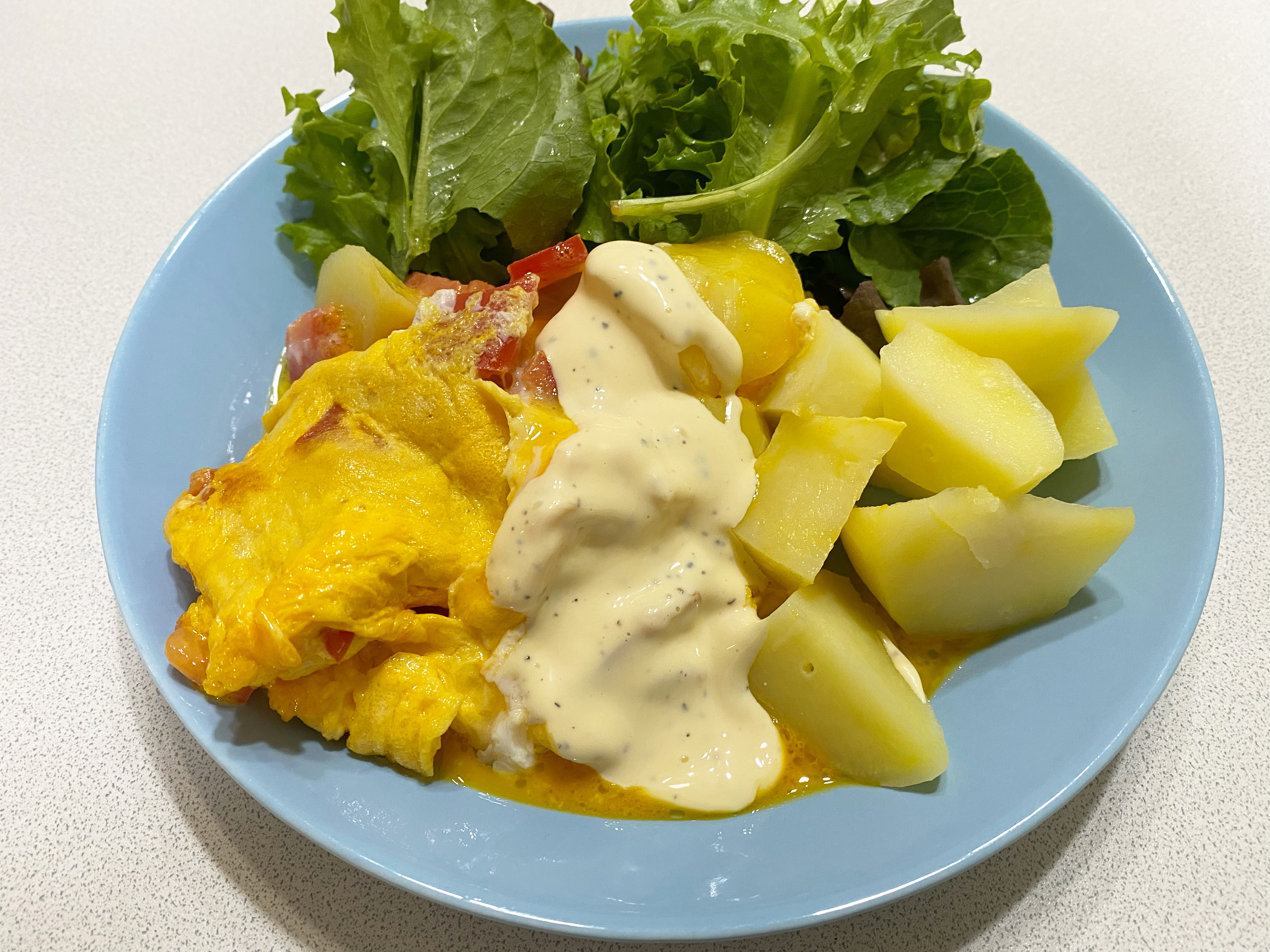 塩トマトオムレツ✨🍽