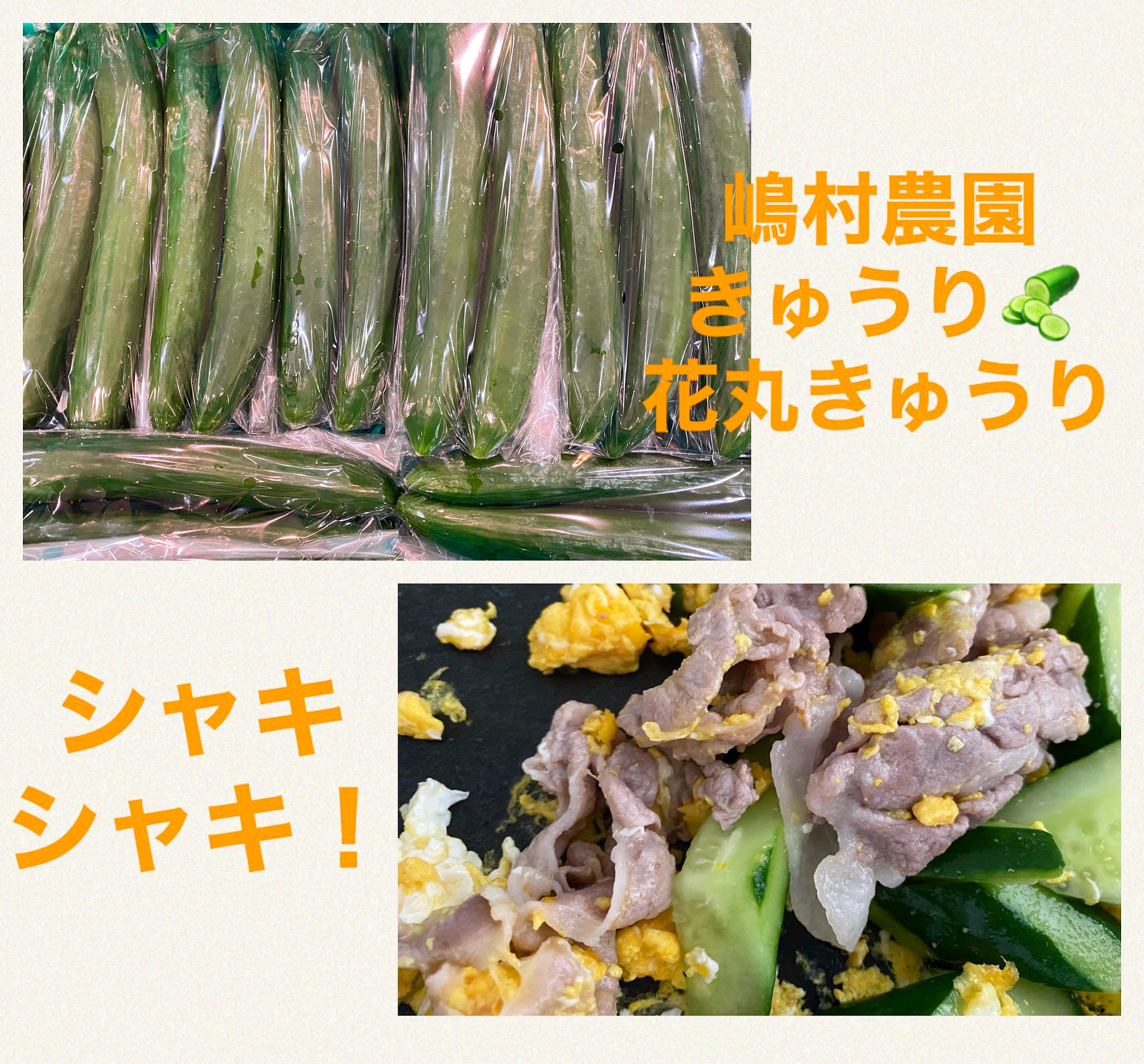 入荷❗️嶋村農園さんきゅうり🥒