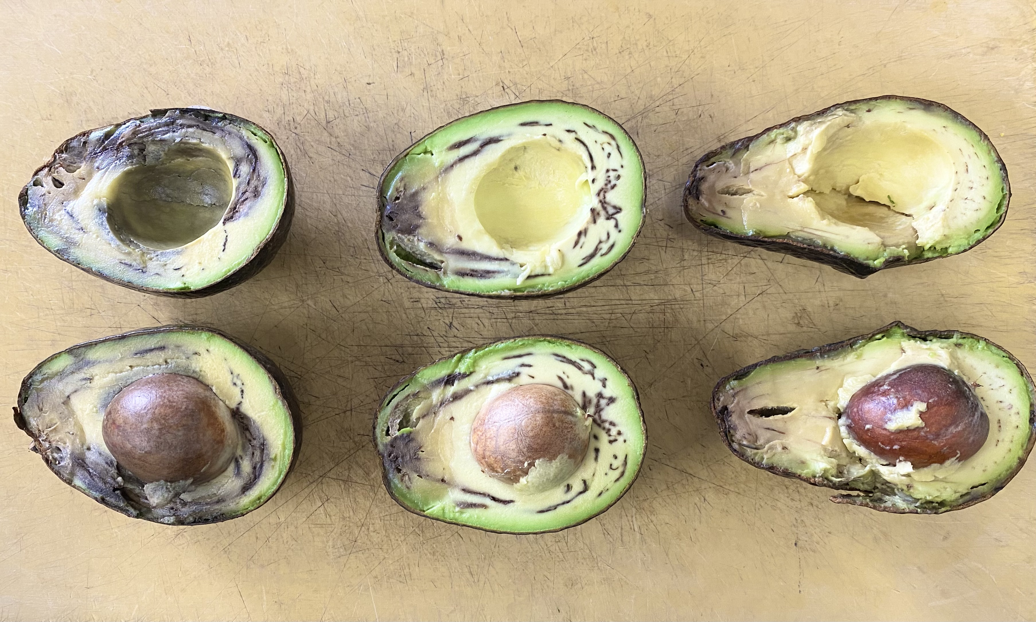 アボカド🥑の熟し具合🤔