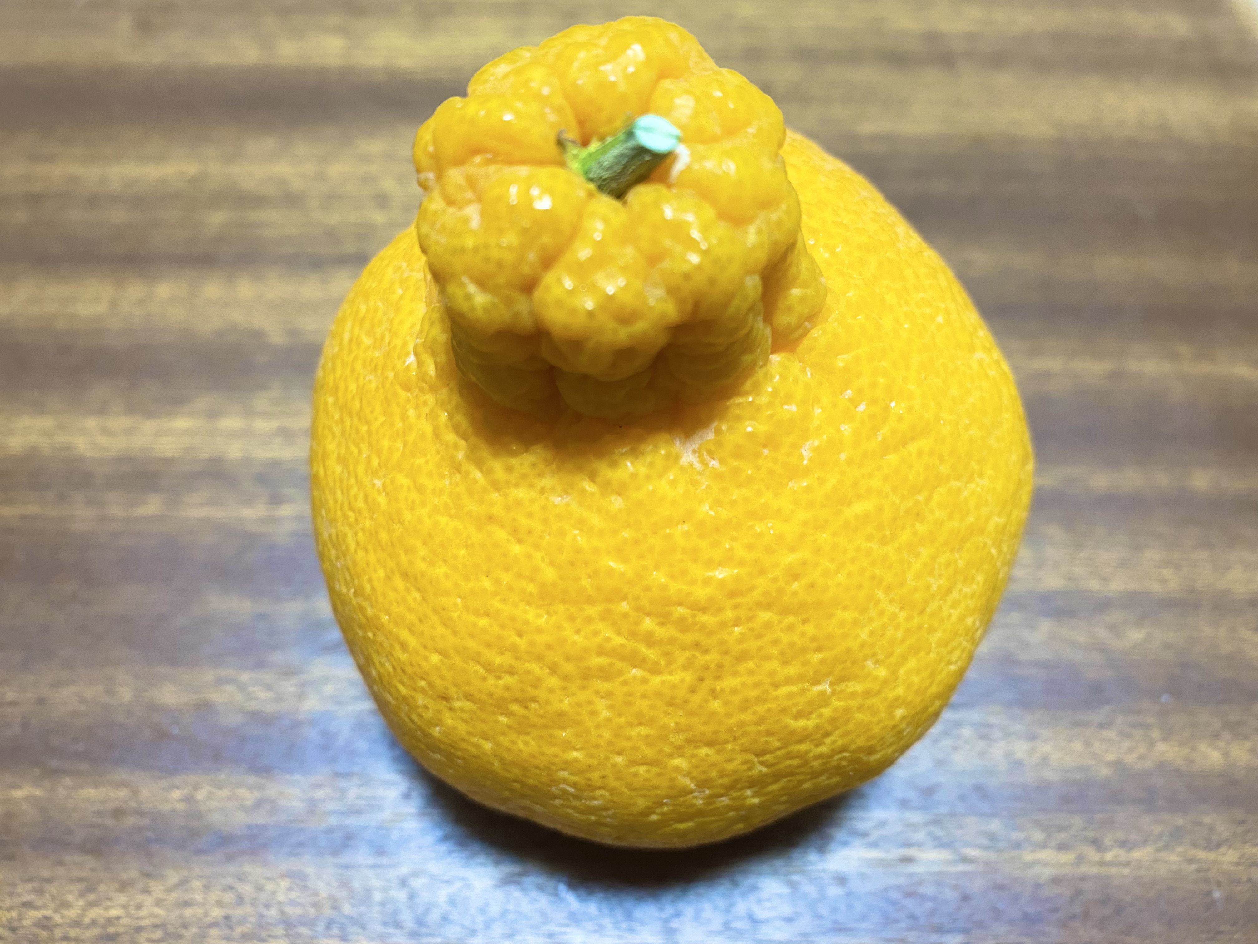 熊本特産フルーツ不知火について✨🧡