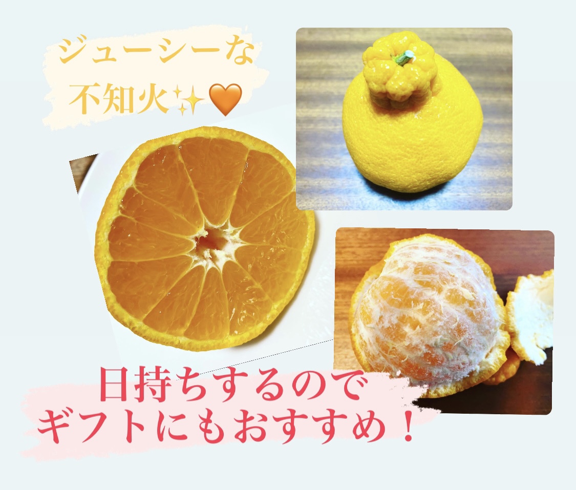 老若男女喜ばれる不知火の魅力❗️❗️❗️