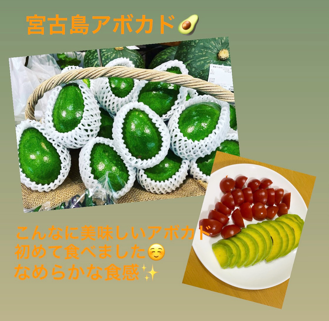 森のバター🥑宮古島アボカド🥑🥑