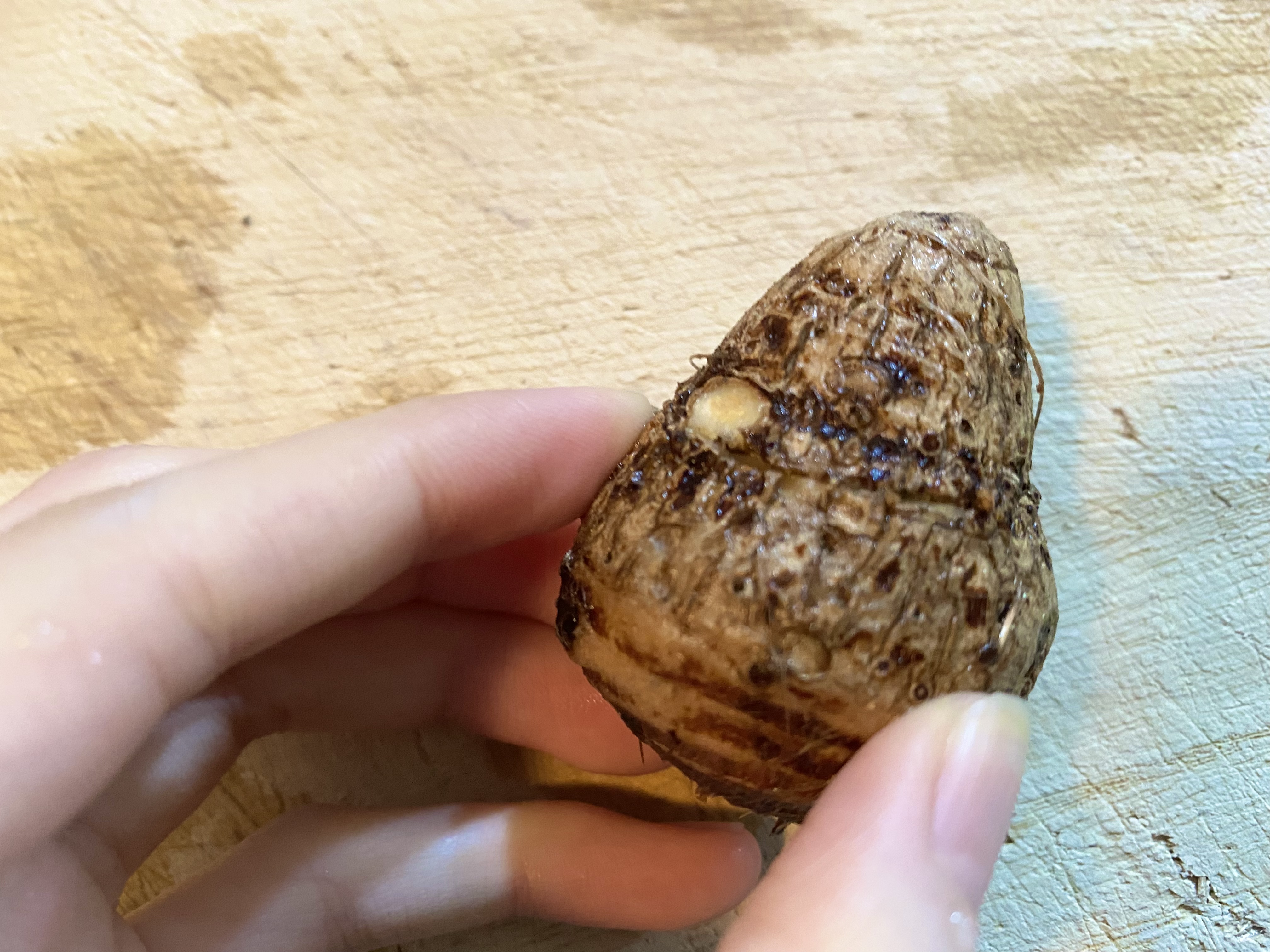 ホクホク里芋のポテトサラダ✨🤤