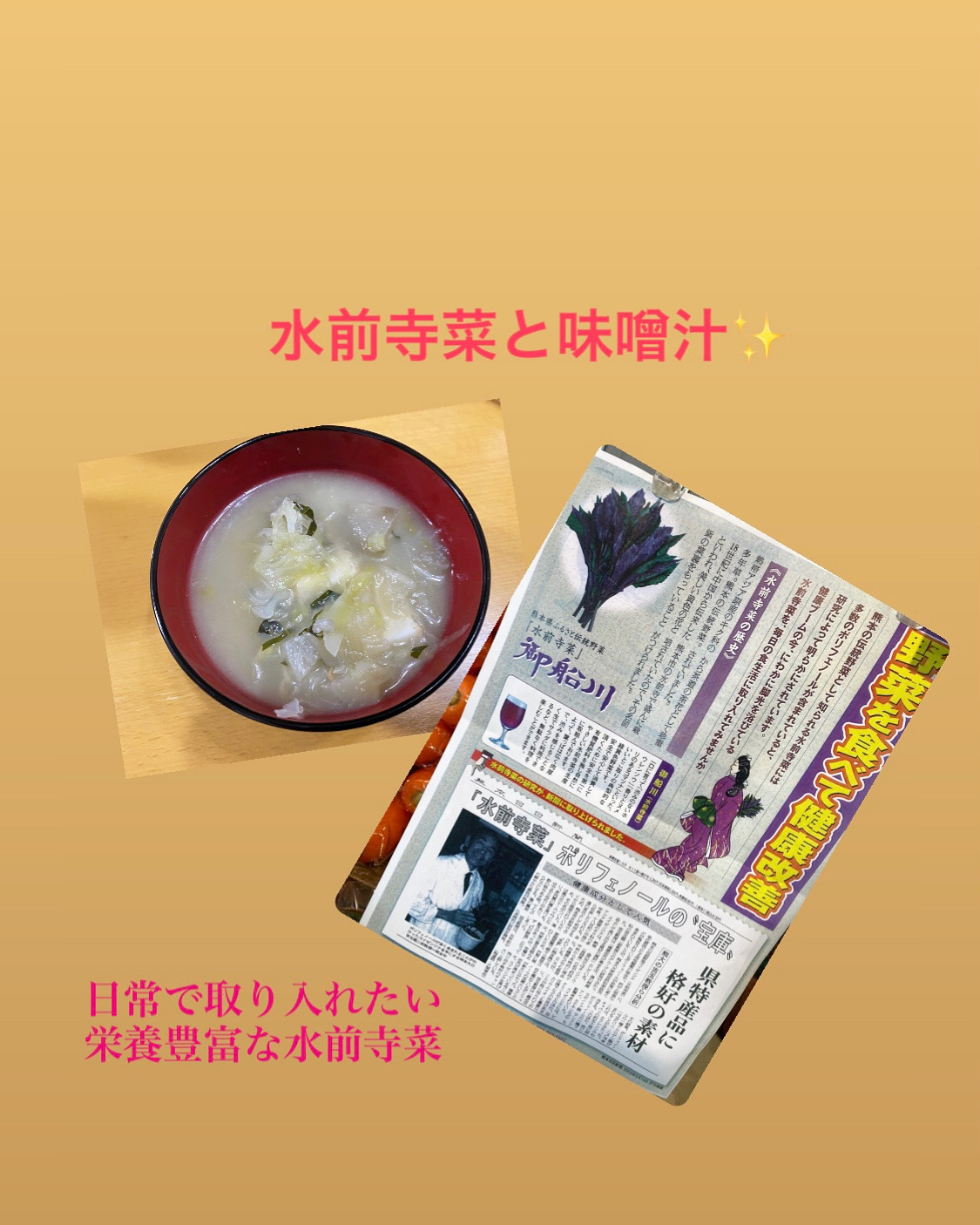 日常に水前寺菜✨