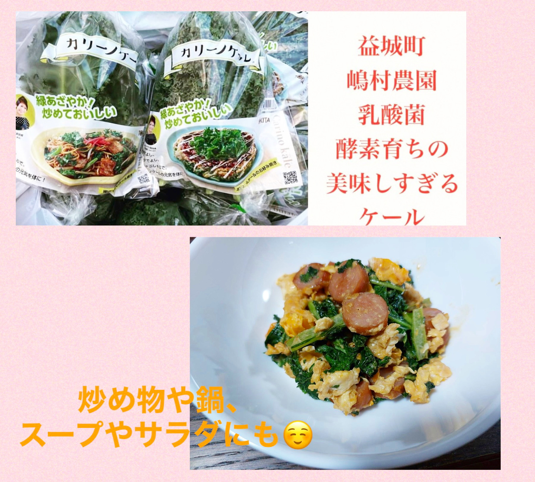 nakataスタッフの『Hさんレシピ』Part5✨🍽️