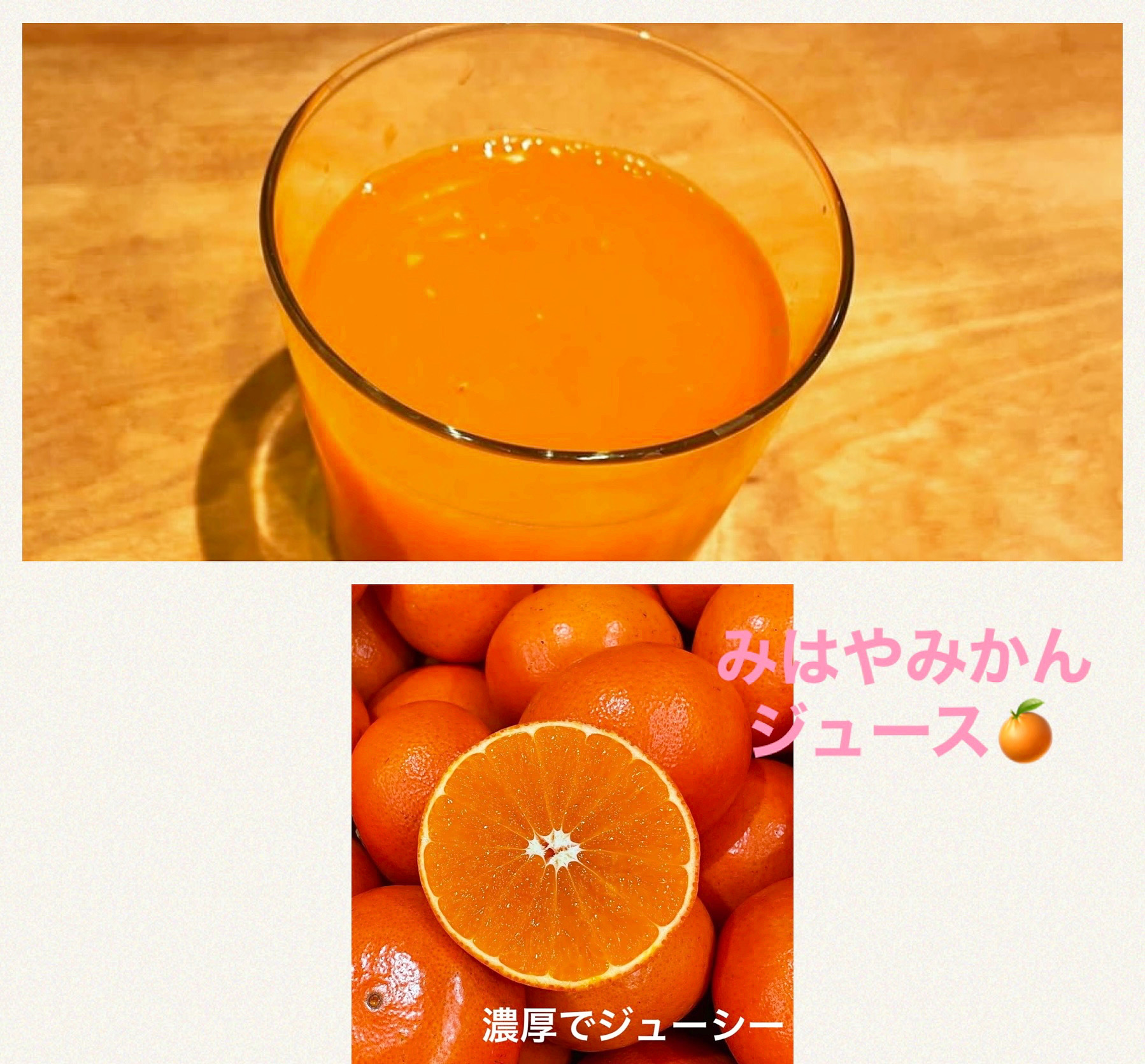 上天草 木山農園さん『みはやみかん🍊』
