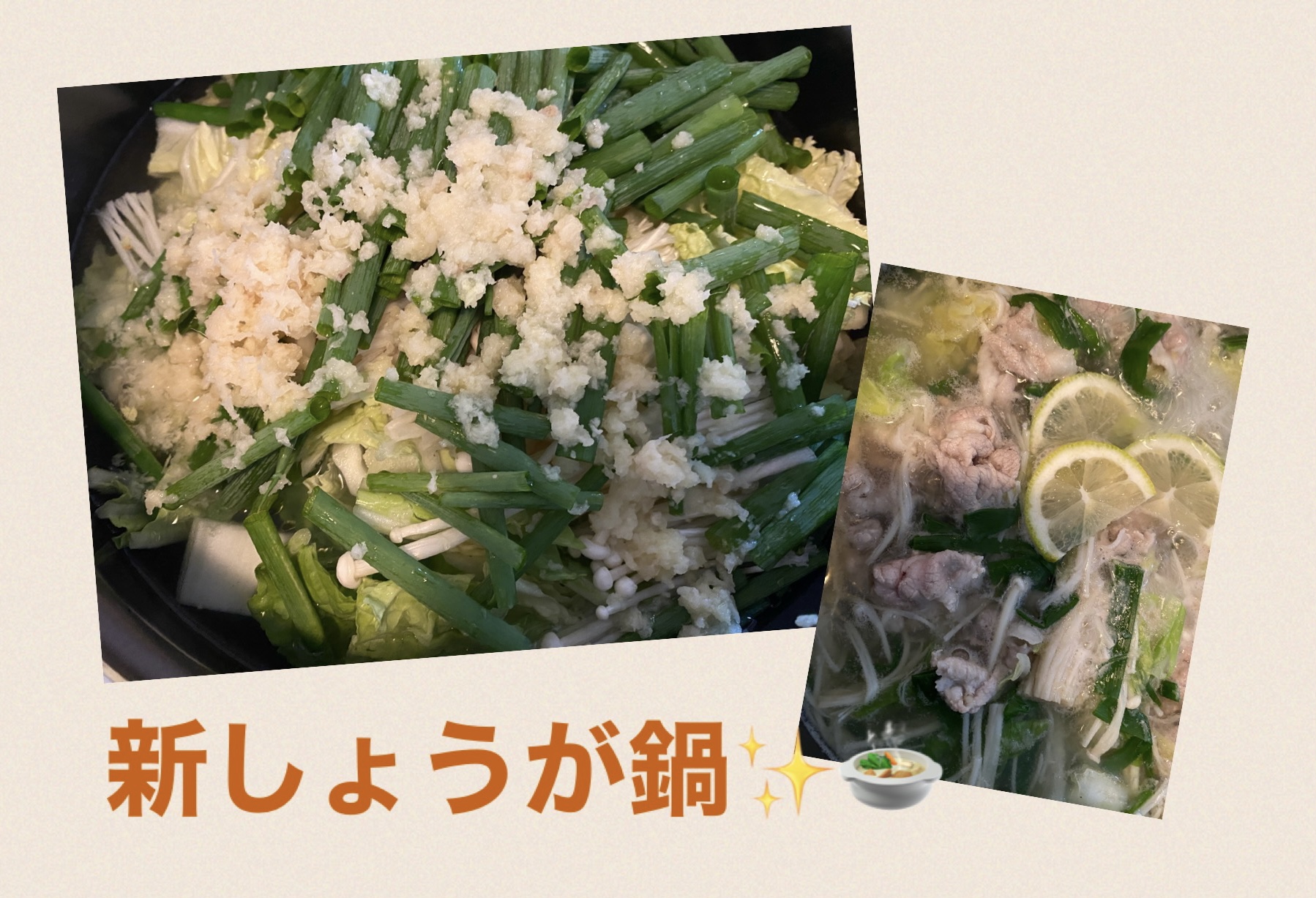 新しょうがたっぷりお鍋🍲