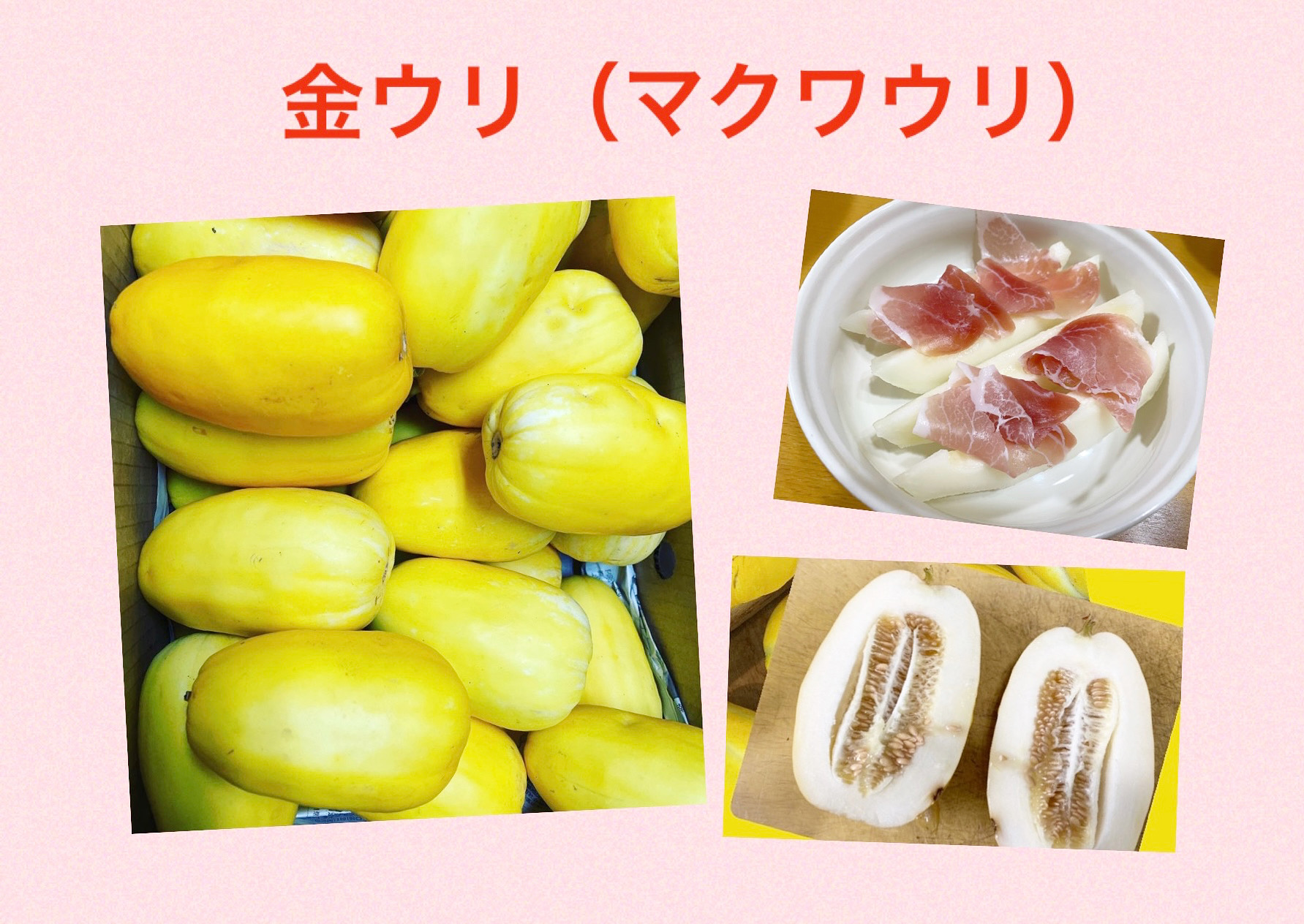 金うりはビタミンCが豊富✨