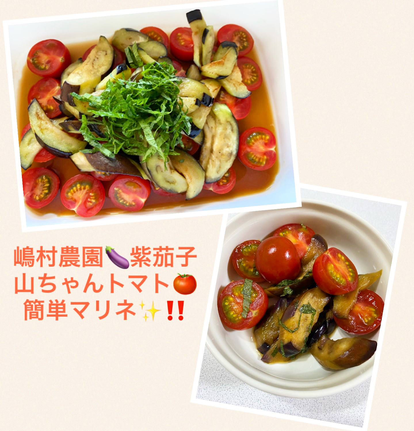 茄子とトマトのマリネ🍆🍅