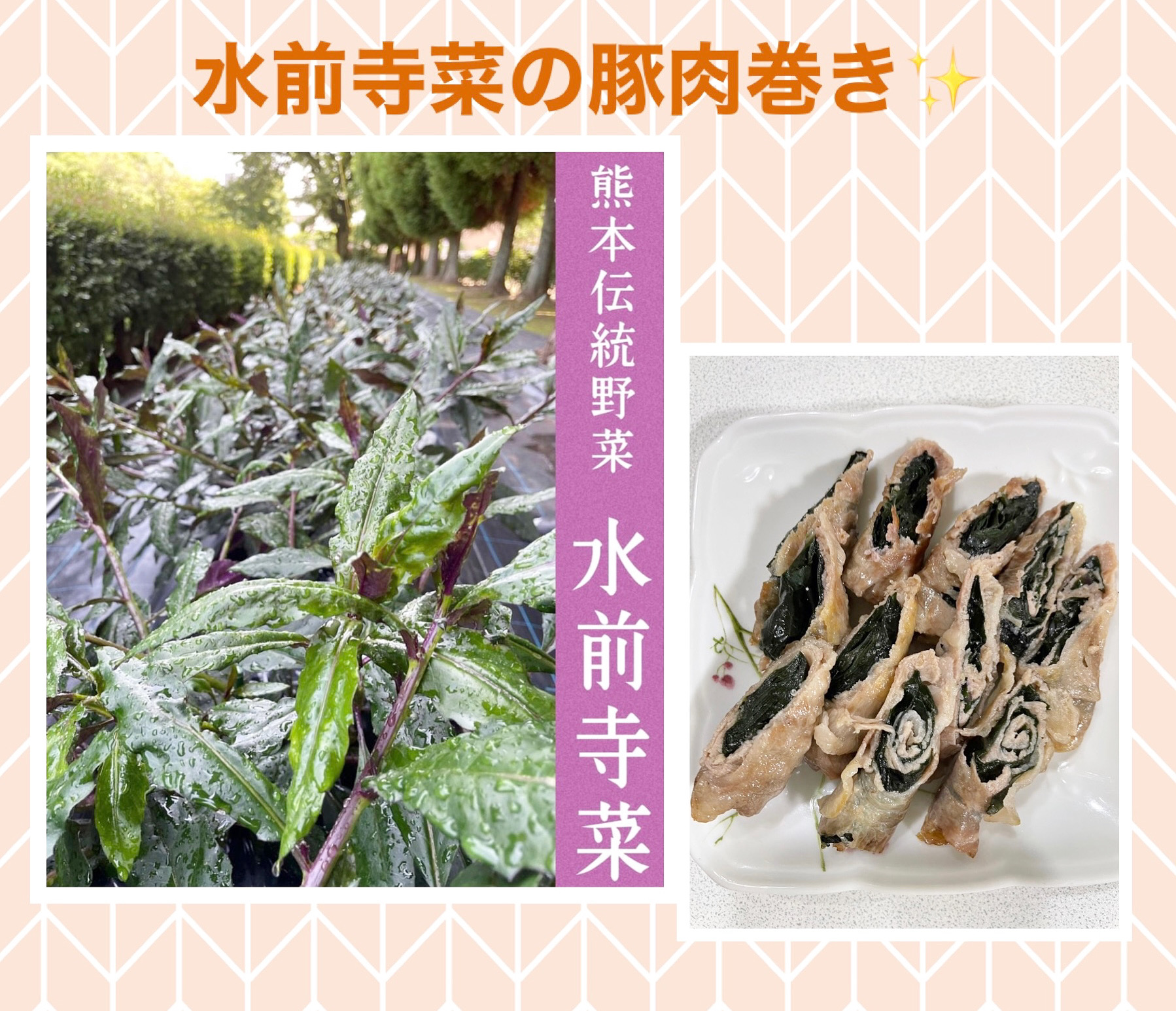 水前寺菜の肉巻き‼️