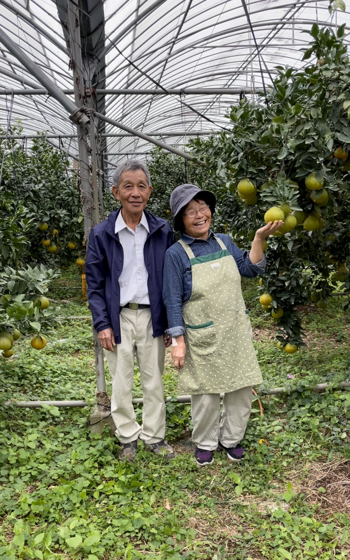 神秘の秘境で育つ極みの玉『芦北〜三松農園不知火』