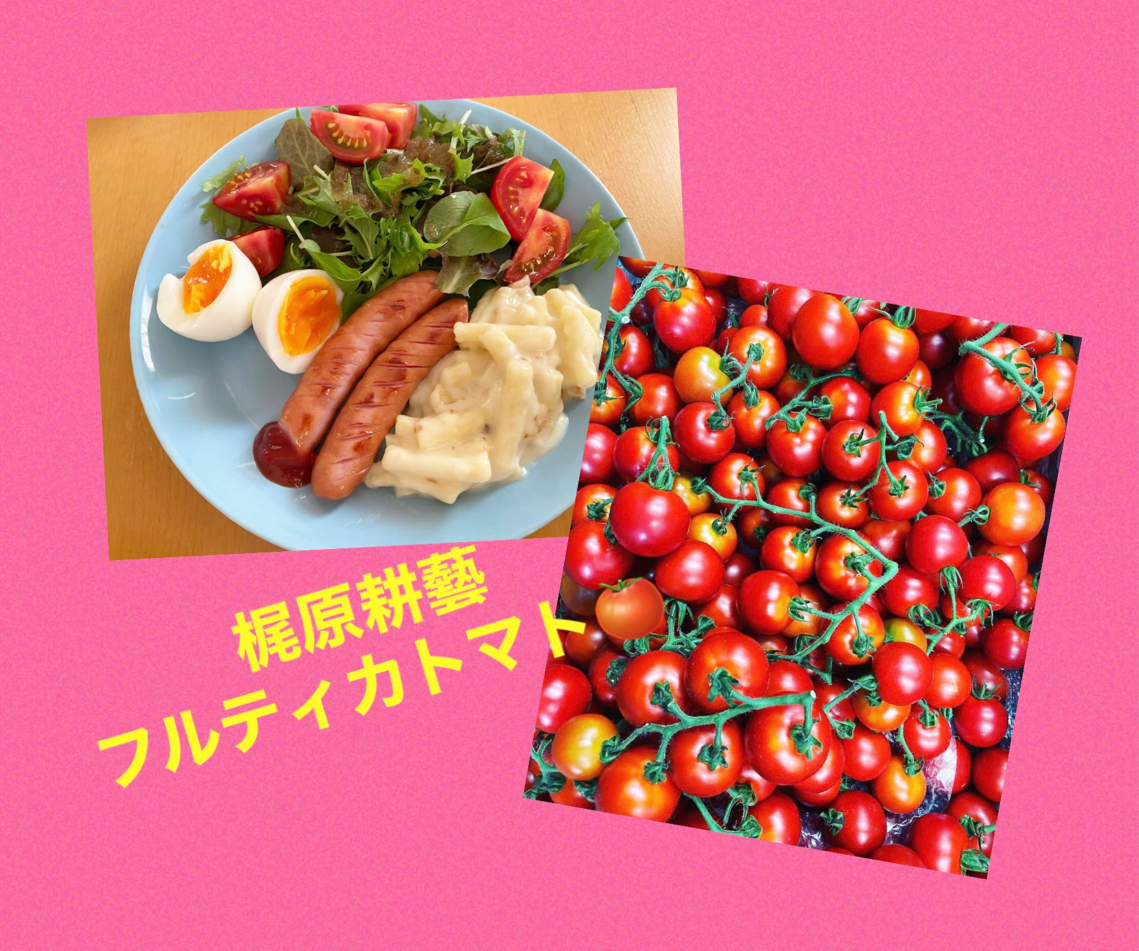 毎日食べたいフルティカトマト🍅