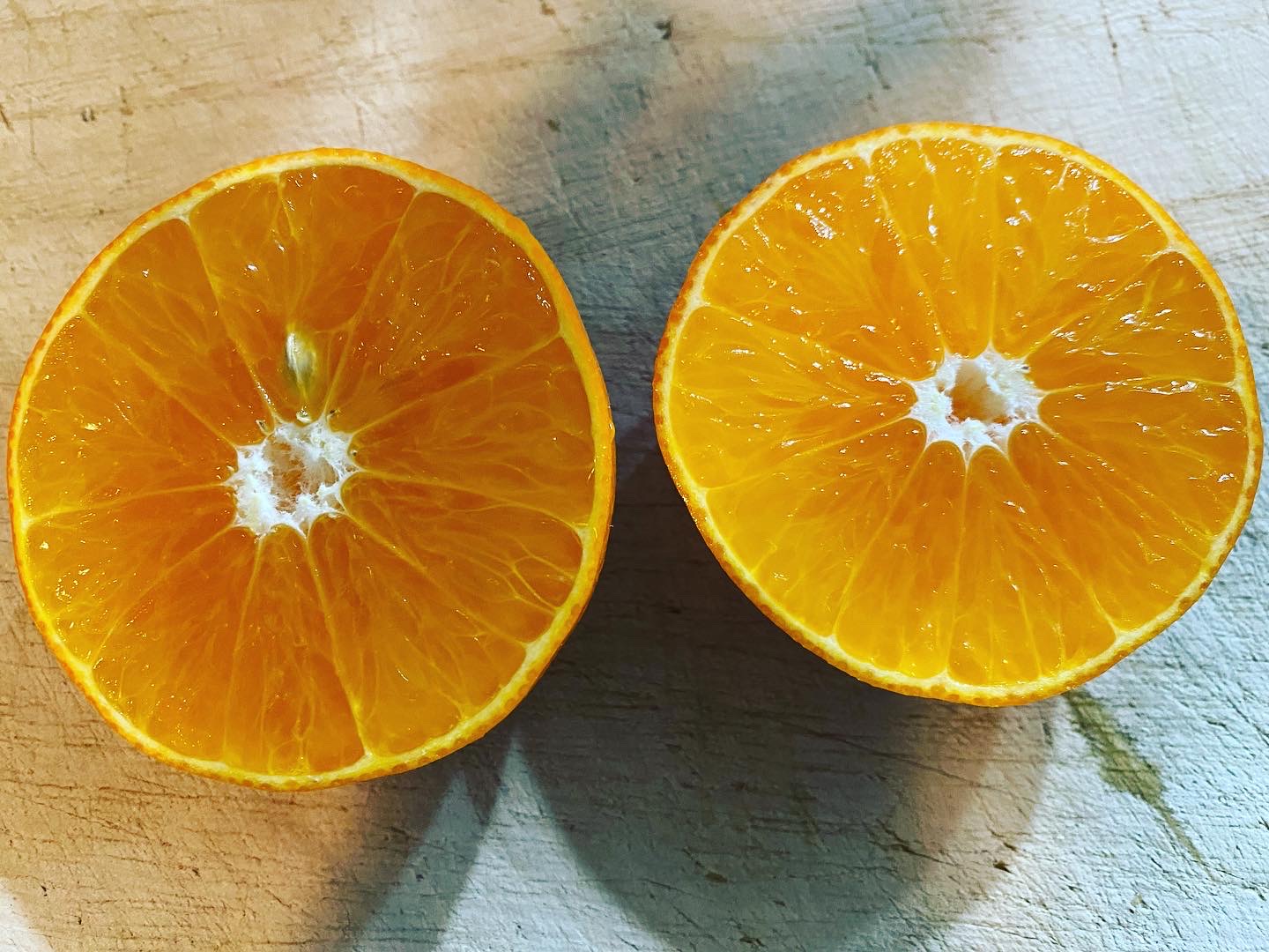 あまくさみかんの美味しさ🍊☺️