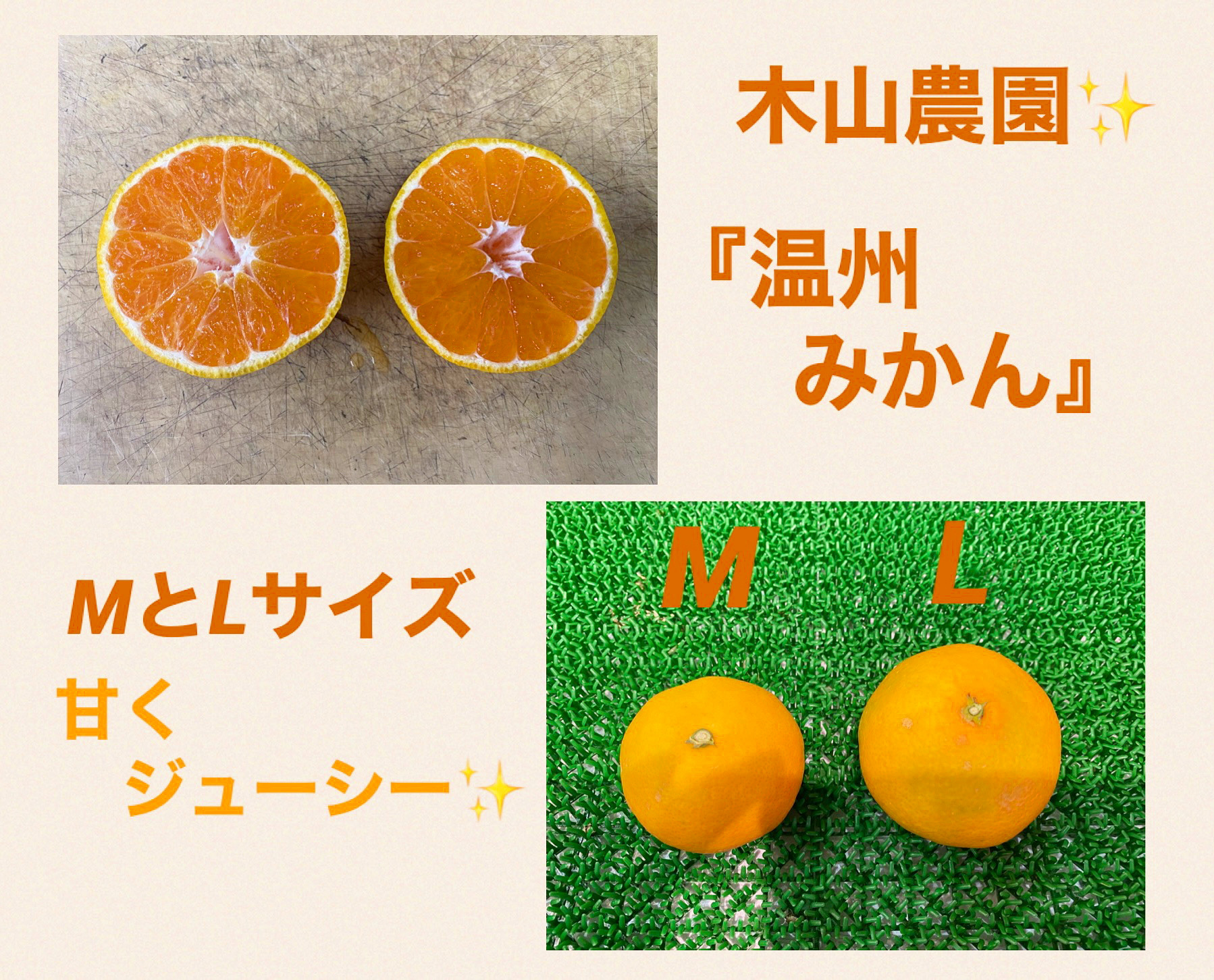 木山農園さんみかん入荷です✨🍊
