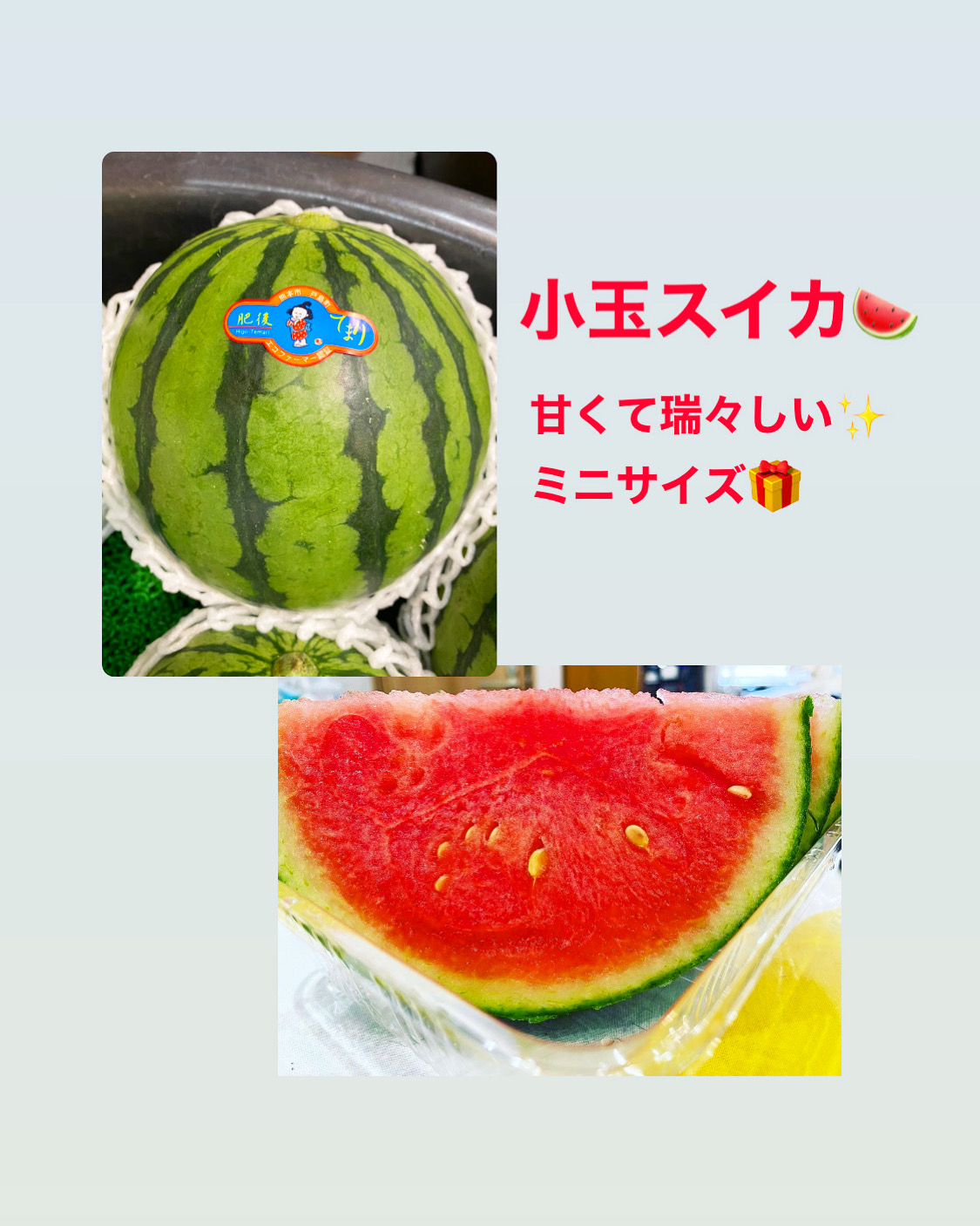 今の時期⁉️小玉スイカ🍉🍉🍉