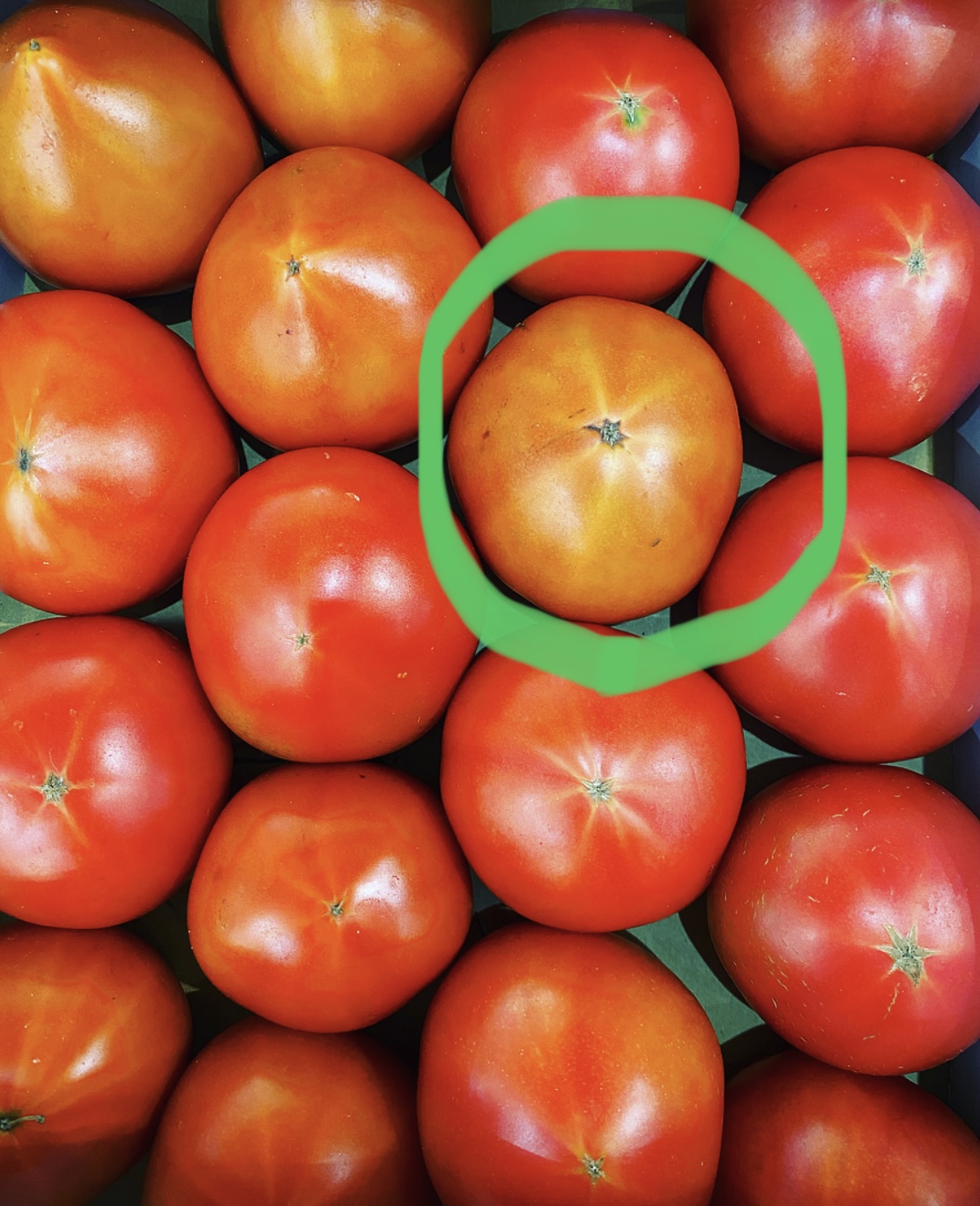 リピート率が高い⁉️塩トマト✨🍅